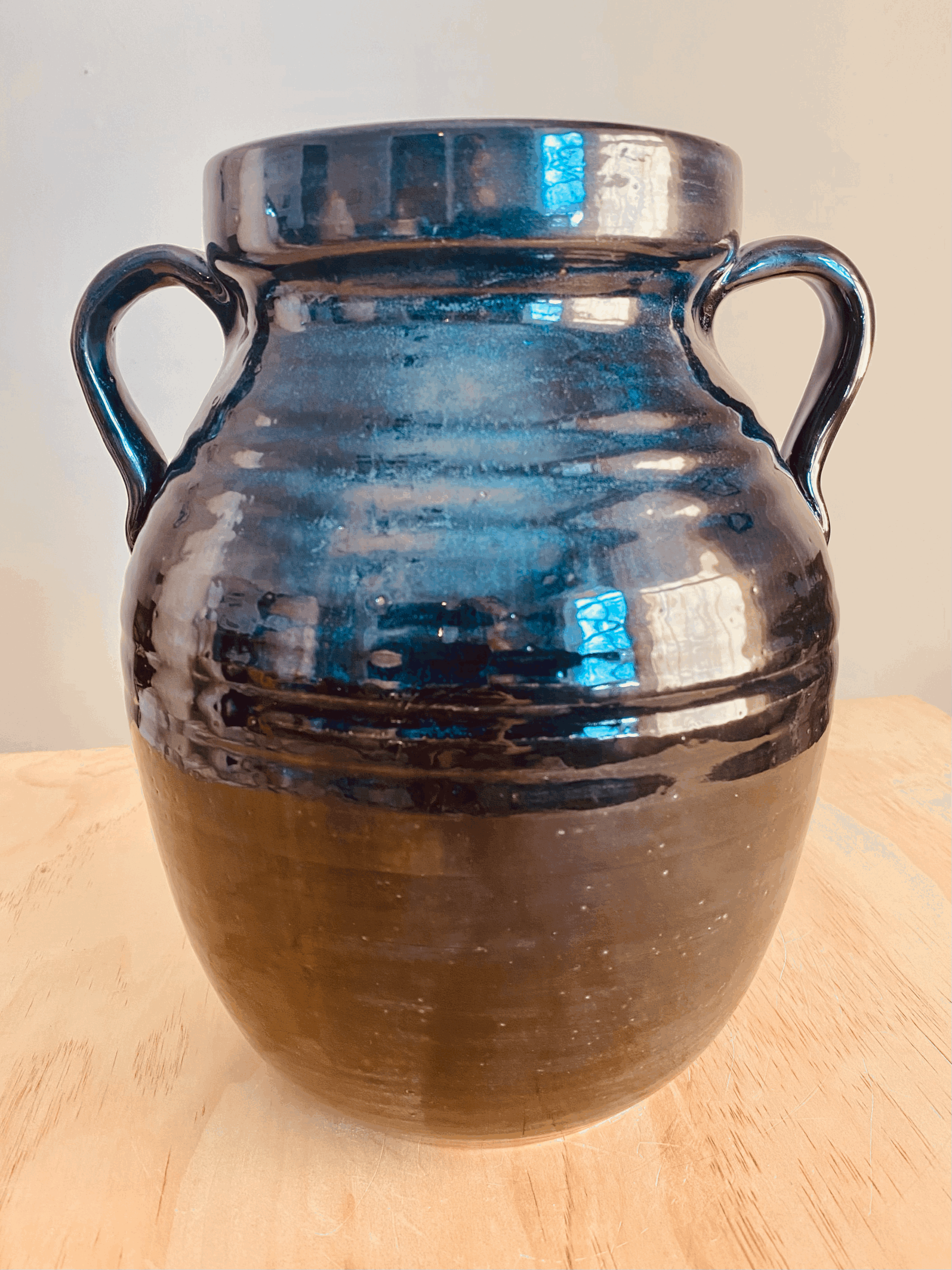Black Metallic Handled Vase