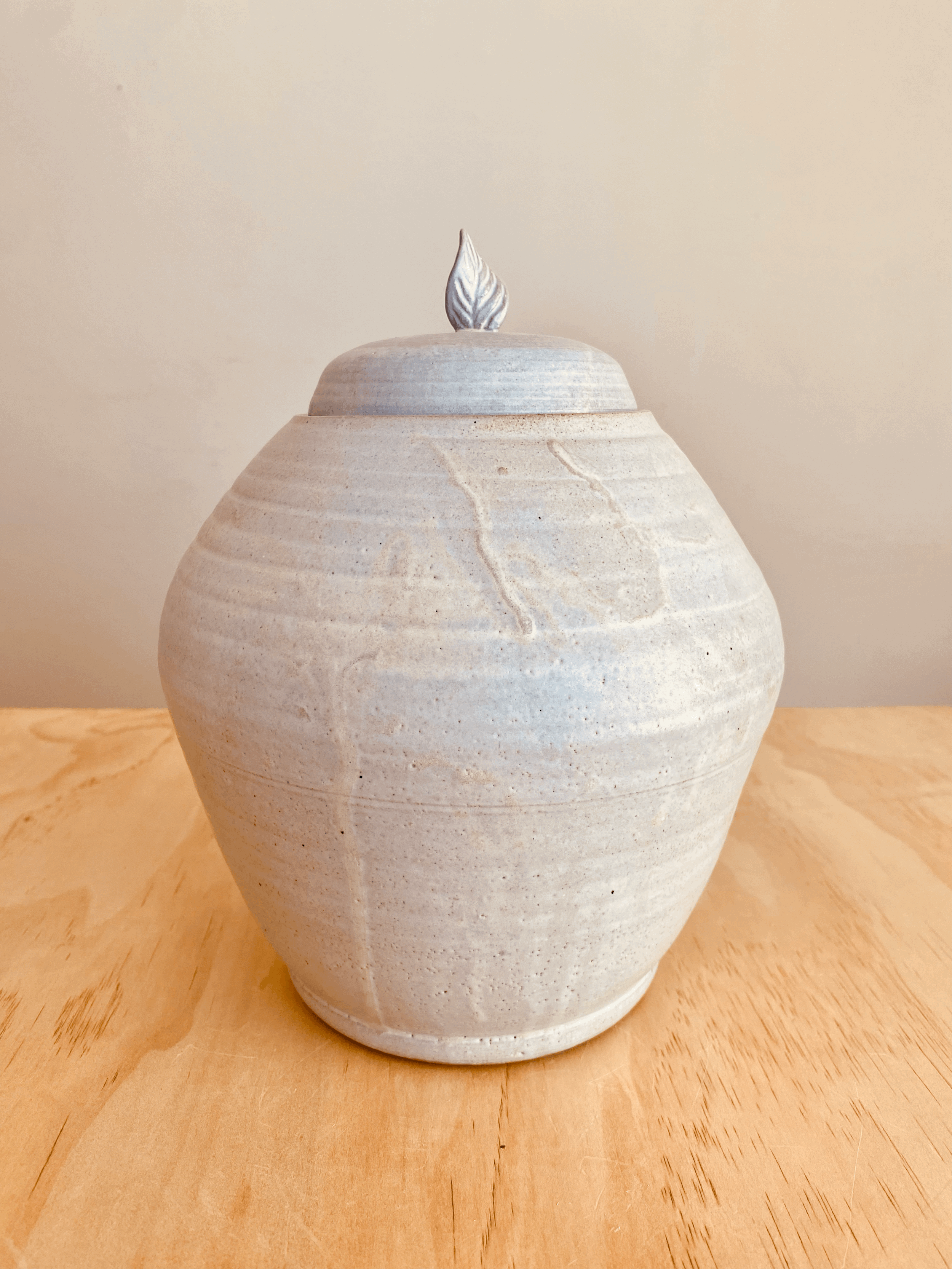 Medium Canister