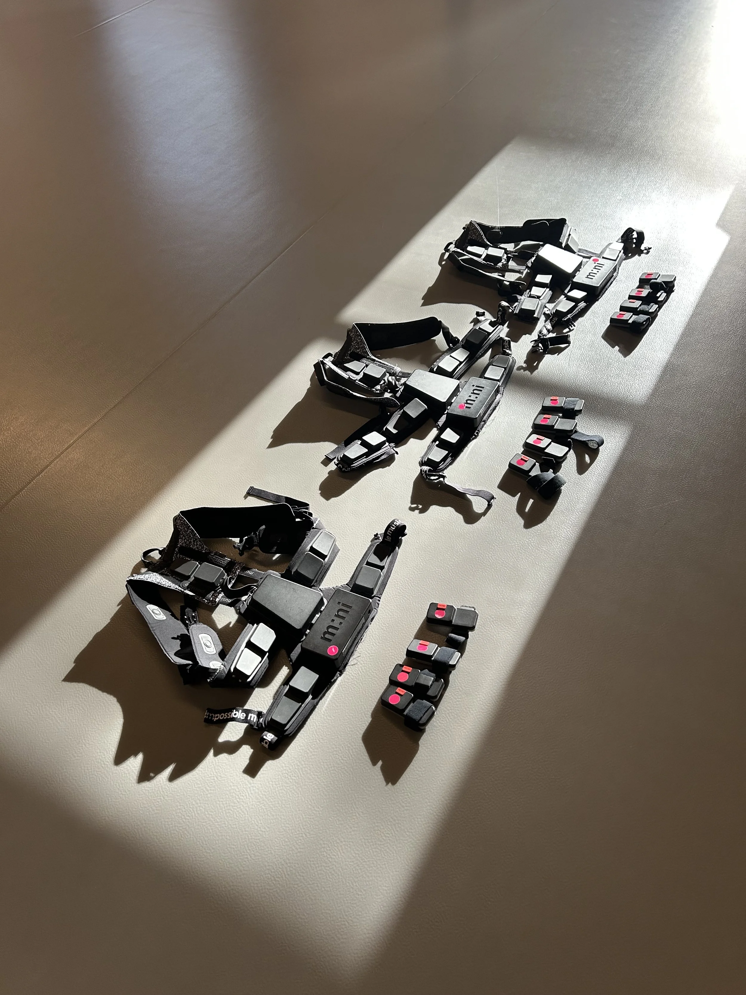 The Haptic Art Performance Experience