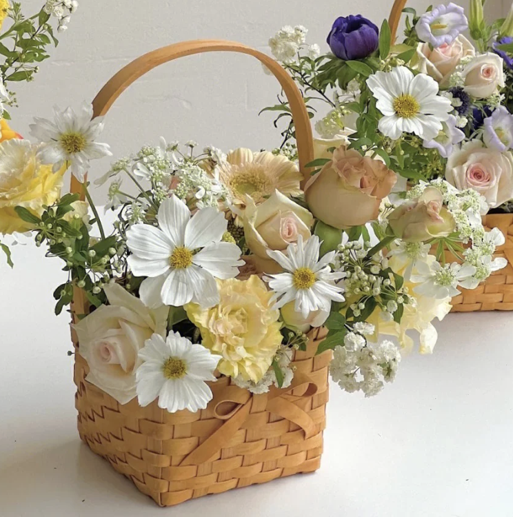 Screenshot 2026-02-23 at 2.52.22 PM.png