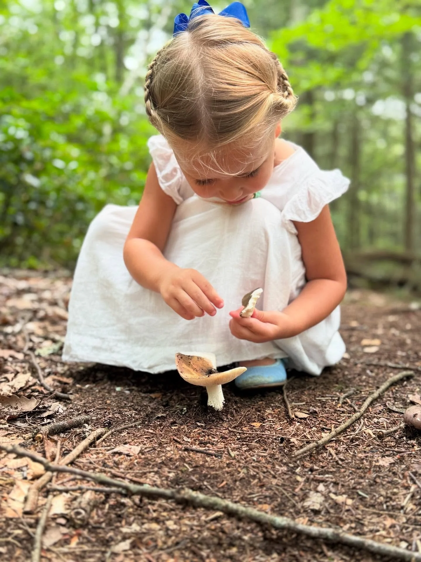 She proposed glue as a way to repair a broken mushroom, a sensible yet unfeasible idea at The Thyme. #staycuriouser