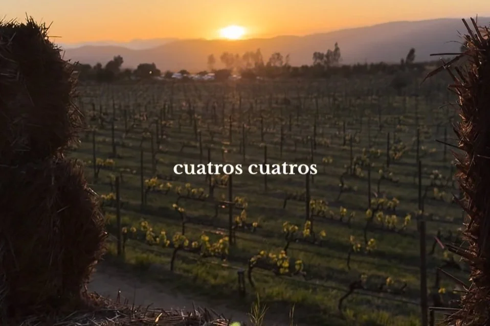 Screenshot 2025-02-13 at 7.33.40 PM.jpg