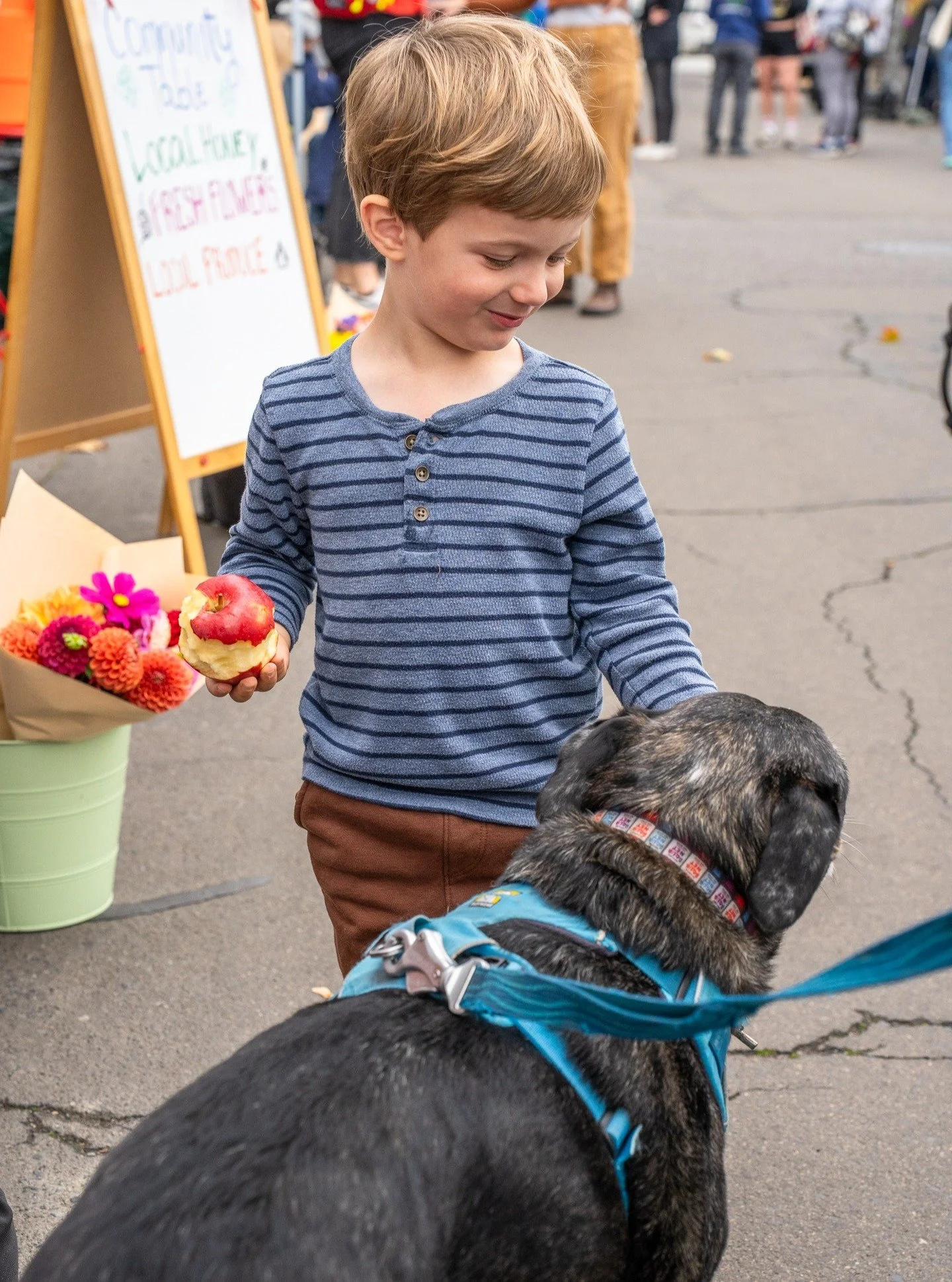 What's happening at the market this week!

🌱 Stop by the Kids Patch this Saturday to immerse yourselves in the distinctive aromas of classic autumnal herbs! Caitlyn is harvesting herbs from the garden for you all to bundle into whimsical wands that 