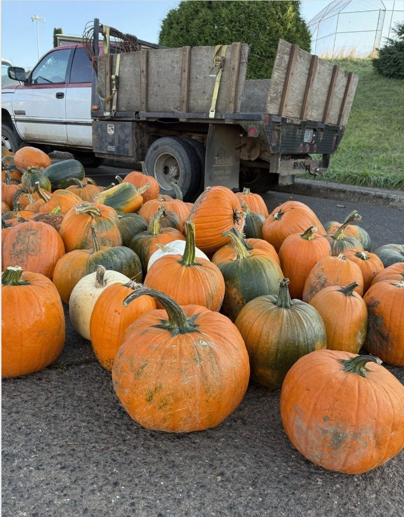 FREE PUMPKINS at the market tomorrow thanks to our generous friends @pablomunozfarms, don't miss it!!! 🎃🎃🎃🎃