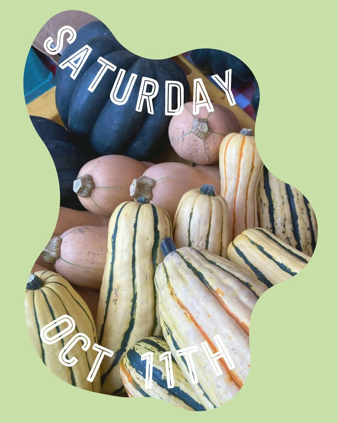 Rain or shine, our vendors are hard at work baking, making, and growing to bring you the best local foods and goods!

New this week:
- Bees Cheeks Flowers is popping in this week! Check out their wildflower and pollinator focused bouquets from the Cu