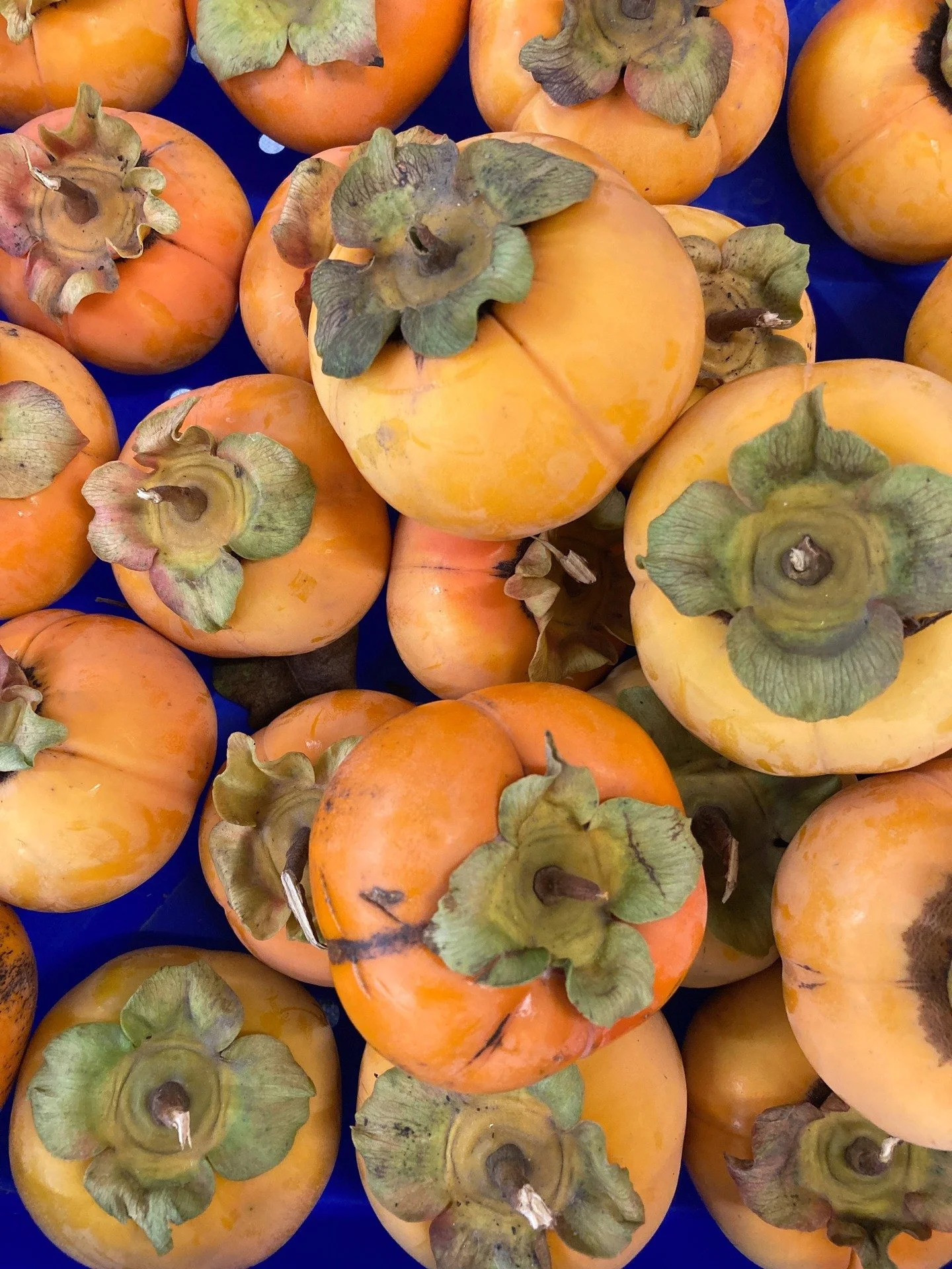 We had so much fun on Saturday that we forgot to take any pictures! 

THANK YOU to everyone that came to our Holiday Market this last weekend and supported your local small farms and makers - we had a blast!!

Mark your calendars because we'll be doi