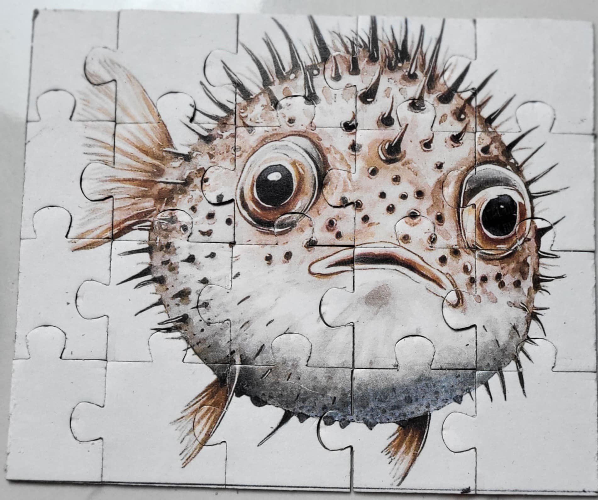 pufferfish.jpg