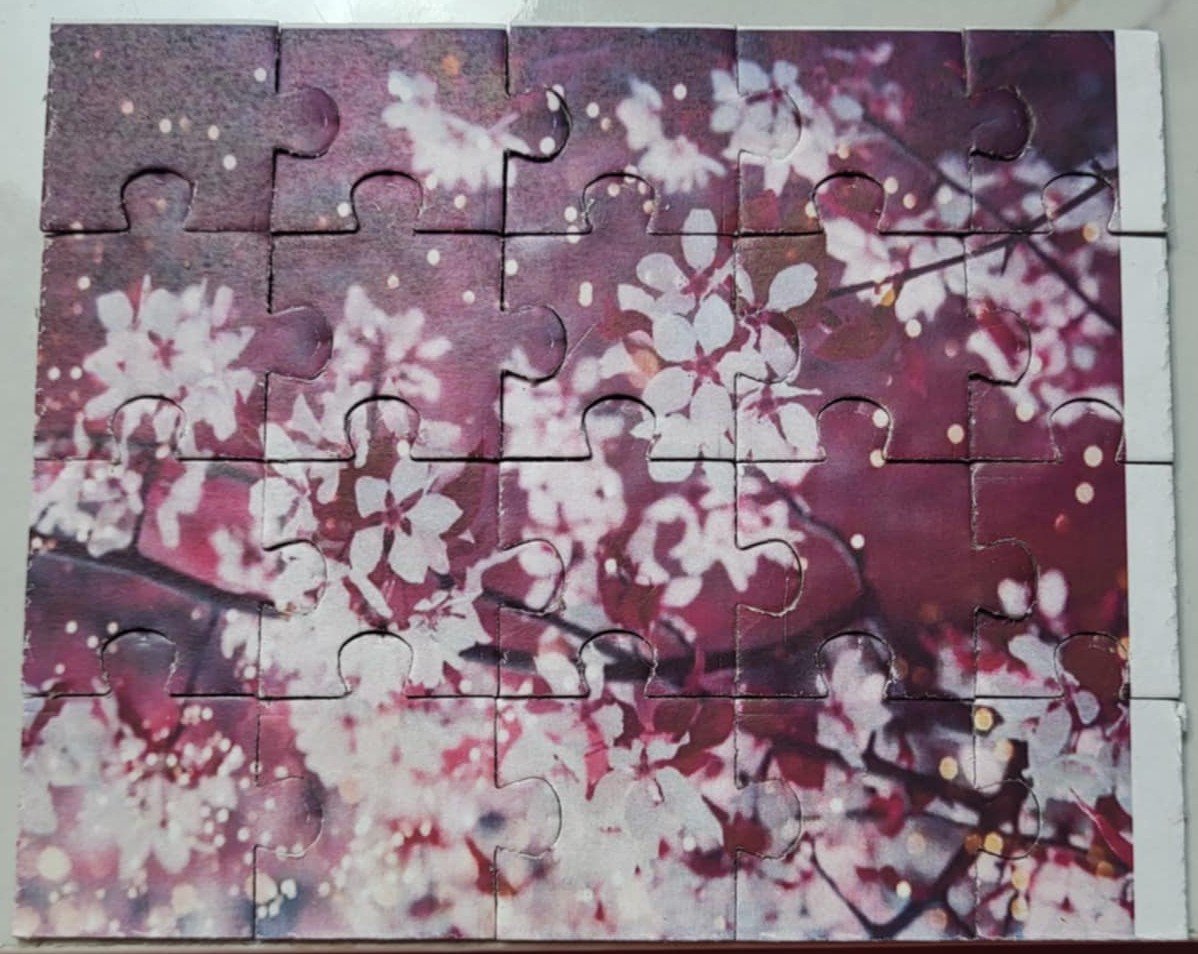 blossom.jpg