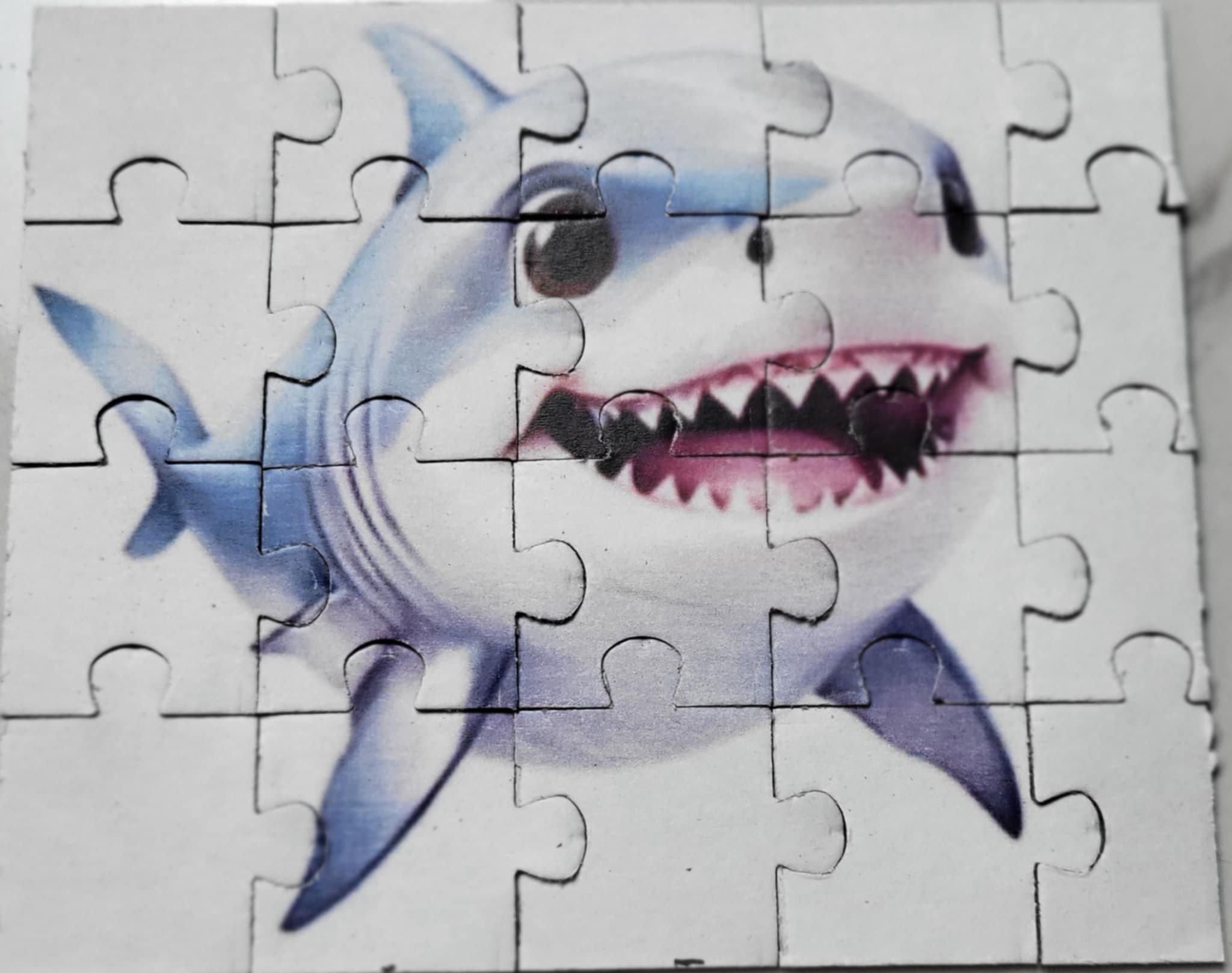 baby shark.jpg