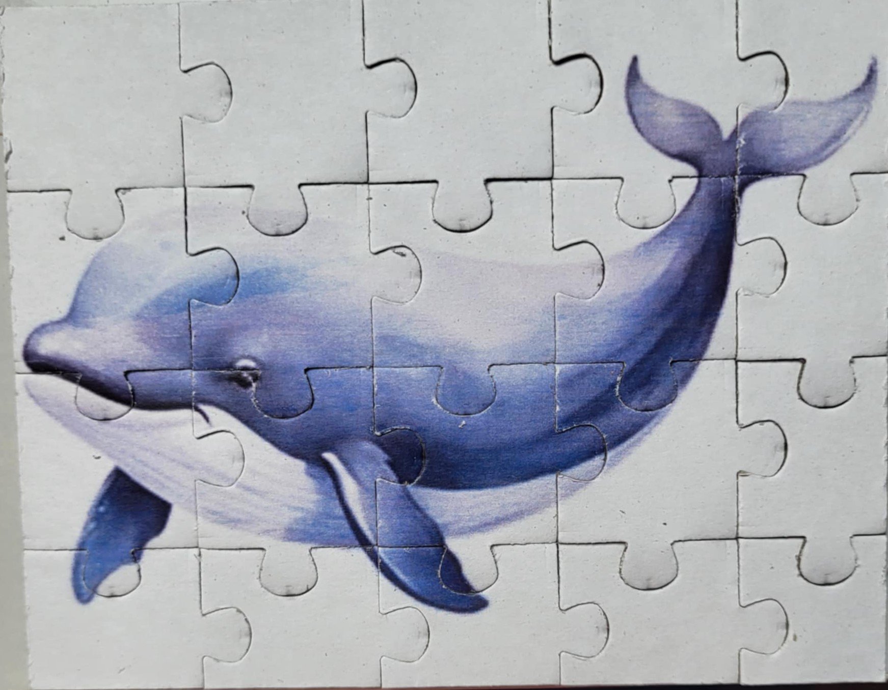 baby beluga.jpg
