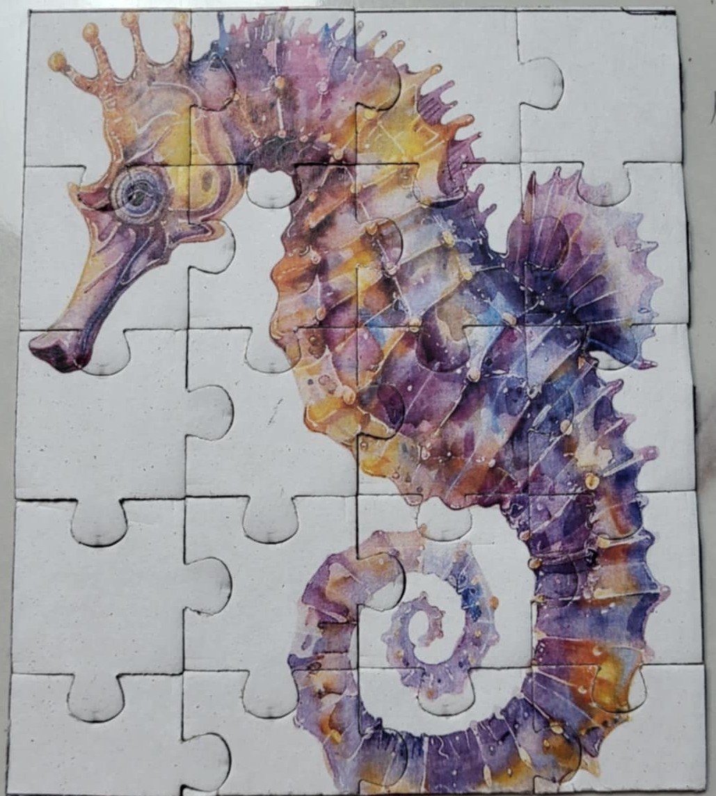 seahorse.jpg