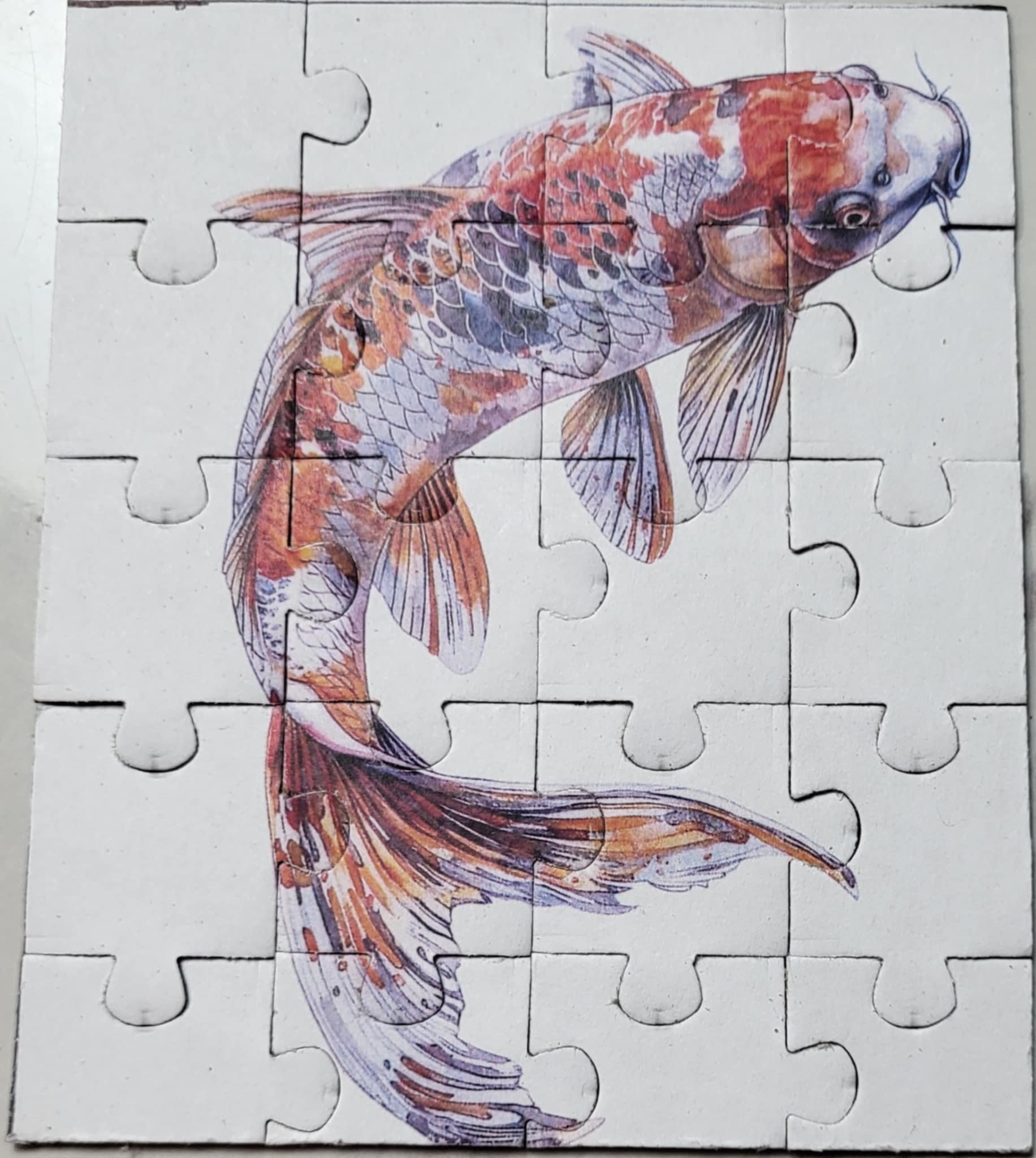koi.jpg