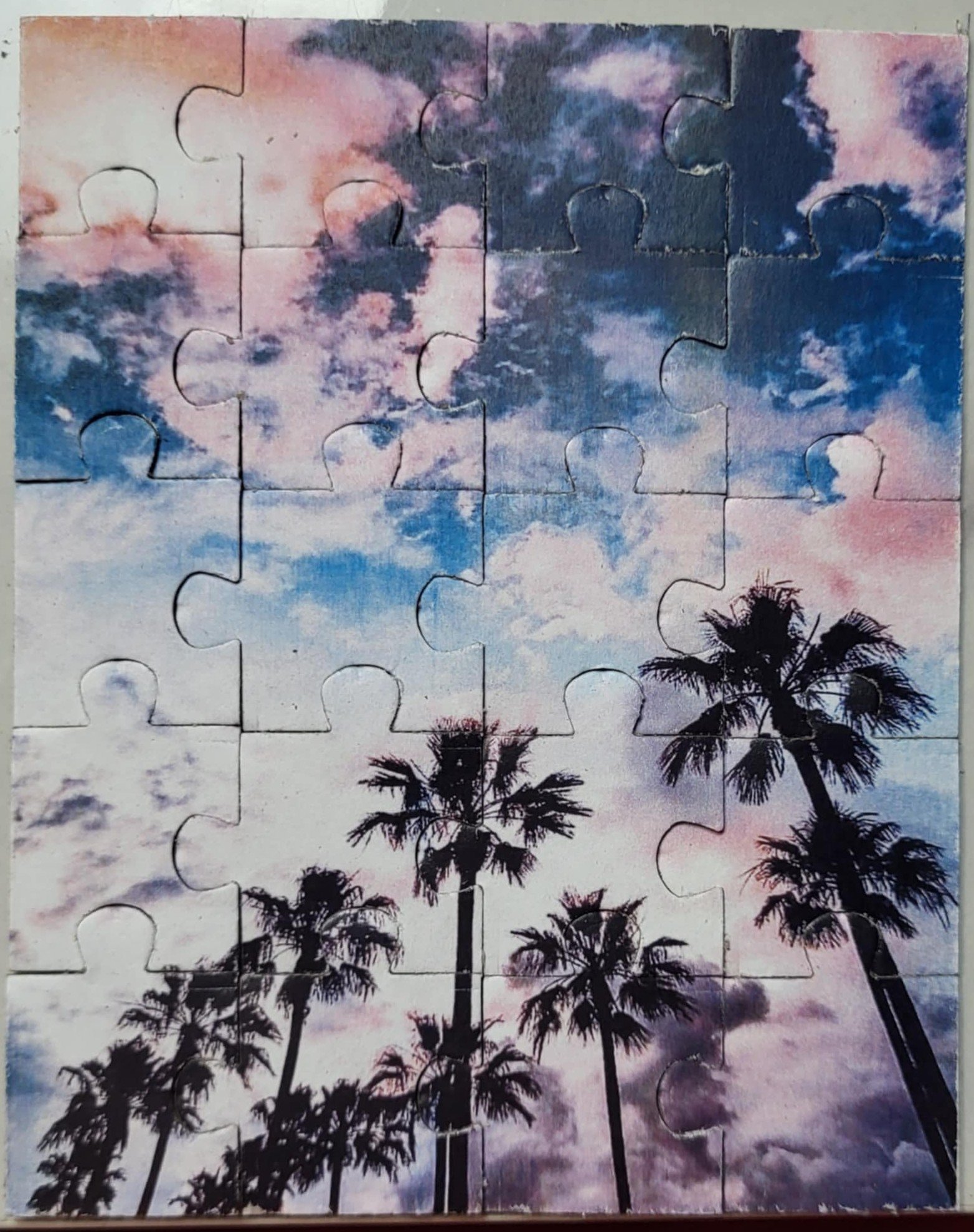 palmtrees.jpg