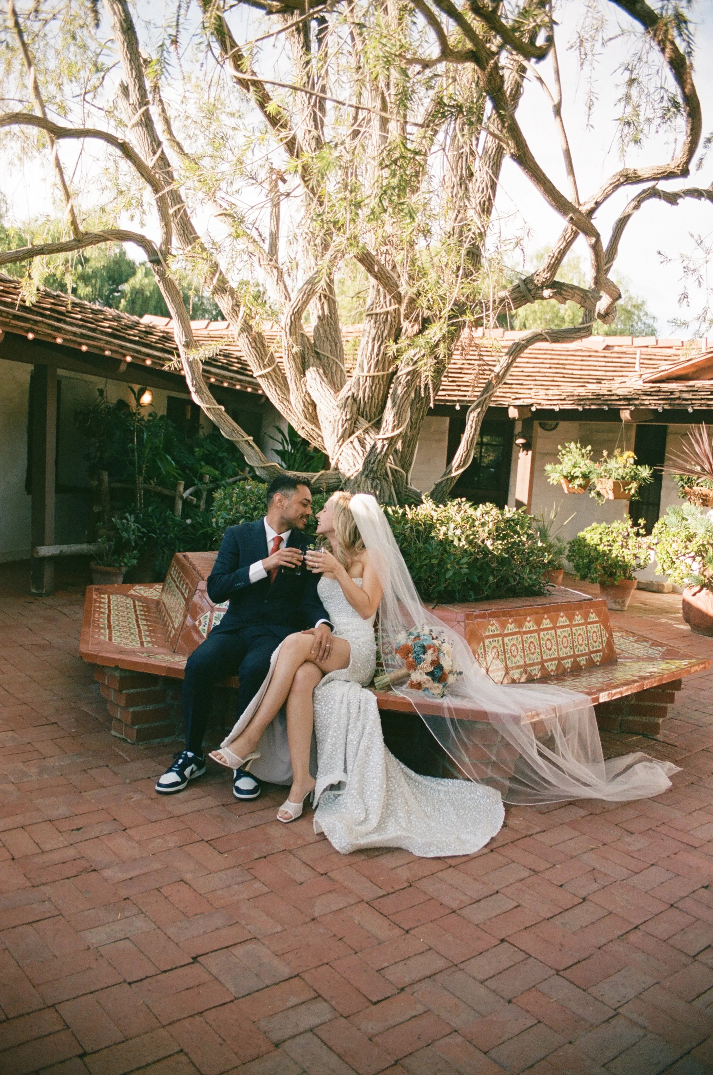 A bride and groom sitting on a brick bench under a large tree, sharing a toast and smiling at each other during their wedding celebration.