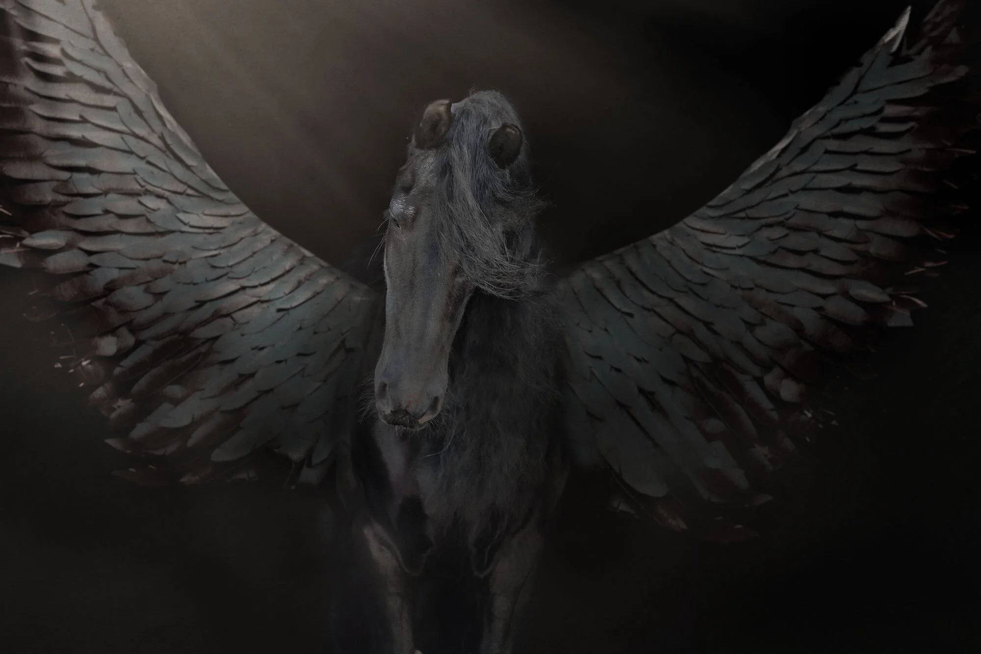 Pegasusw.jpg