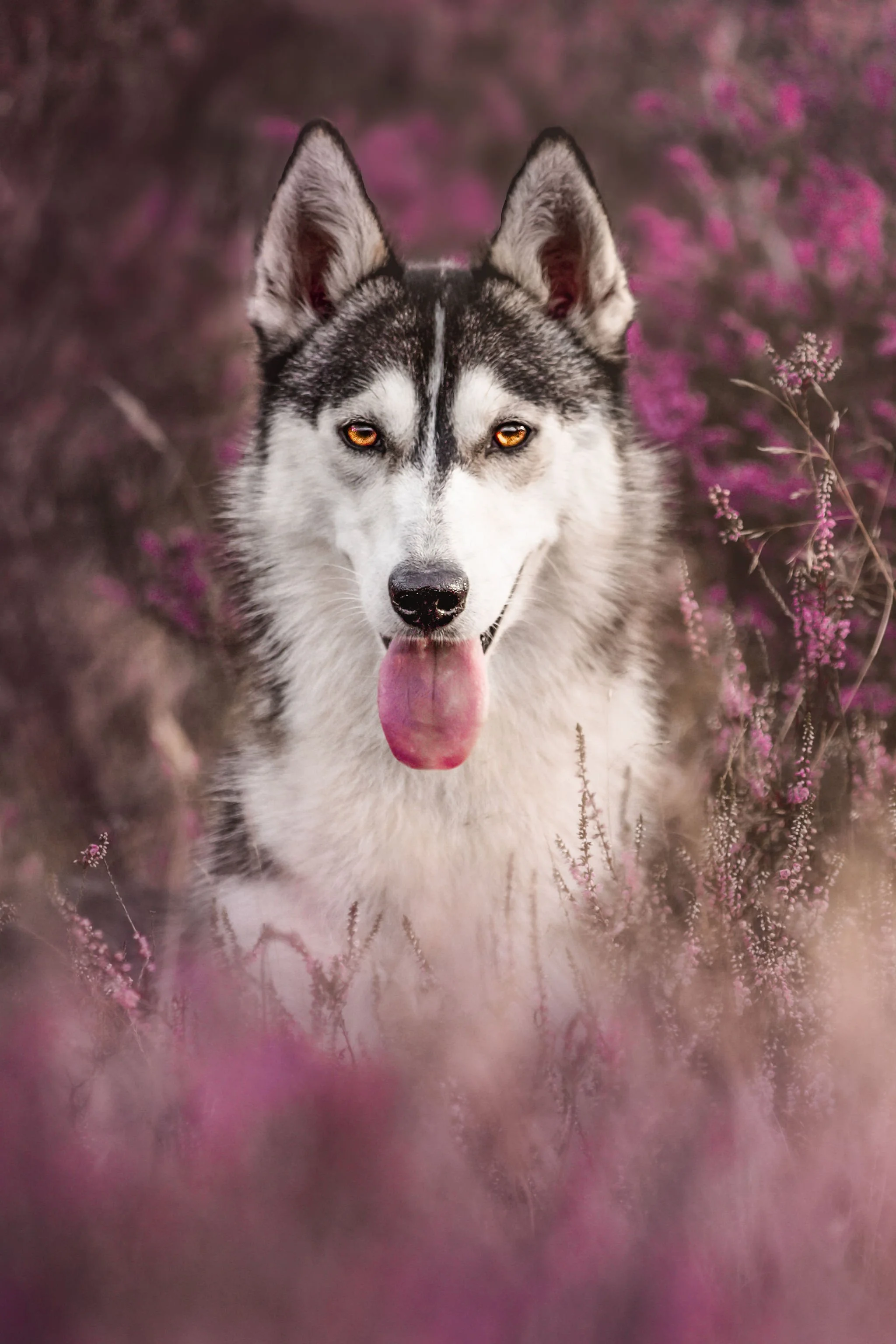 IMG_1038-Edit.jpg