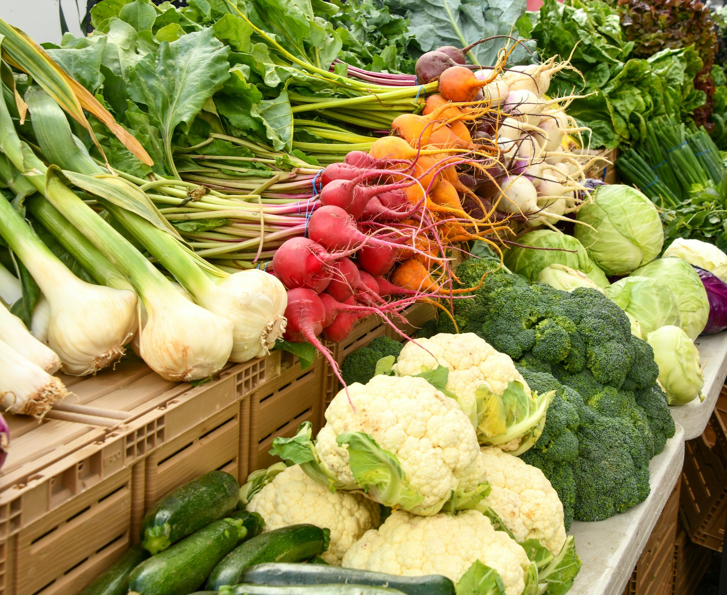 Fresh vegetables including garlic, radishes, carrots, cauliflower, broccoli, zucchinis, and cabbage displayed at a market stand.