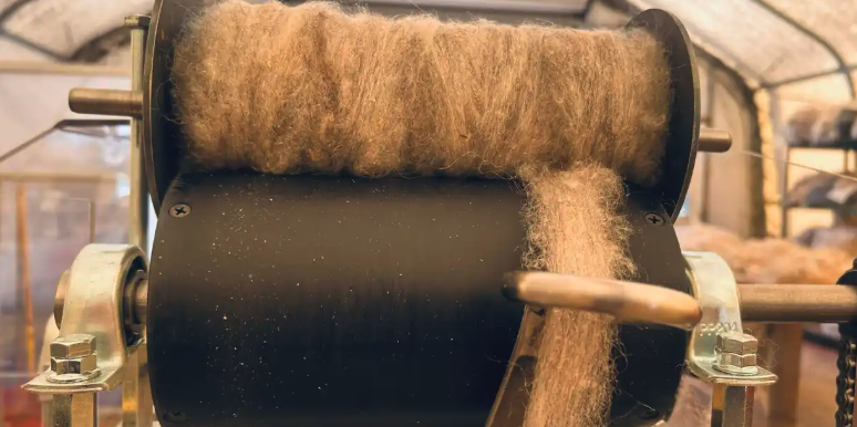 Wool Production & Processing Workshop
