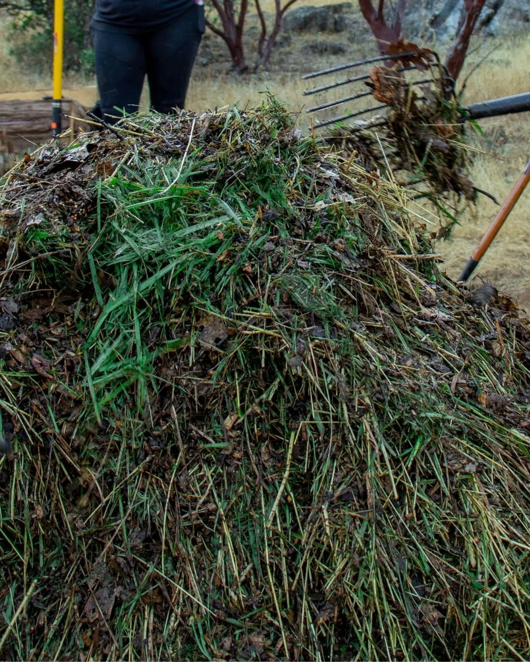On-Farm Composting with Catalyst BioAmendments