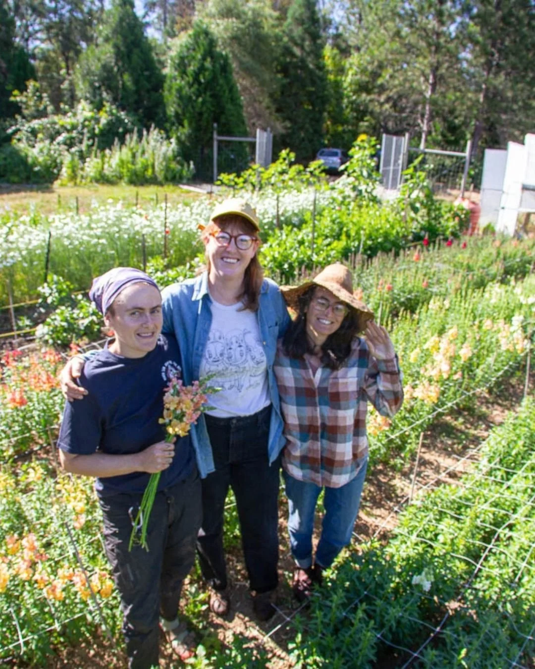 Fall Flower Farming with Bread & Roses Farm