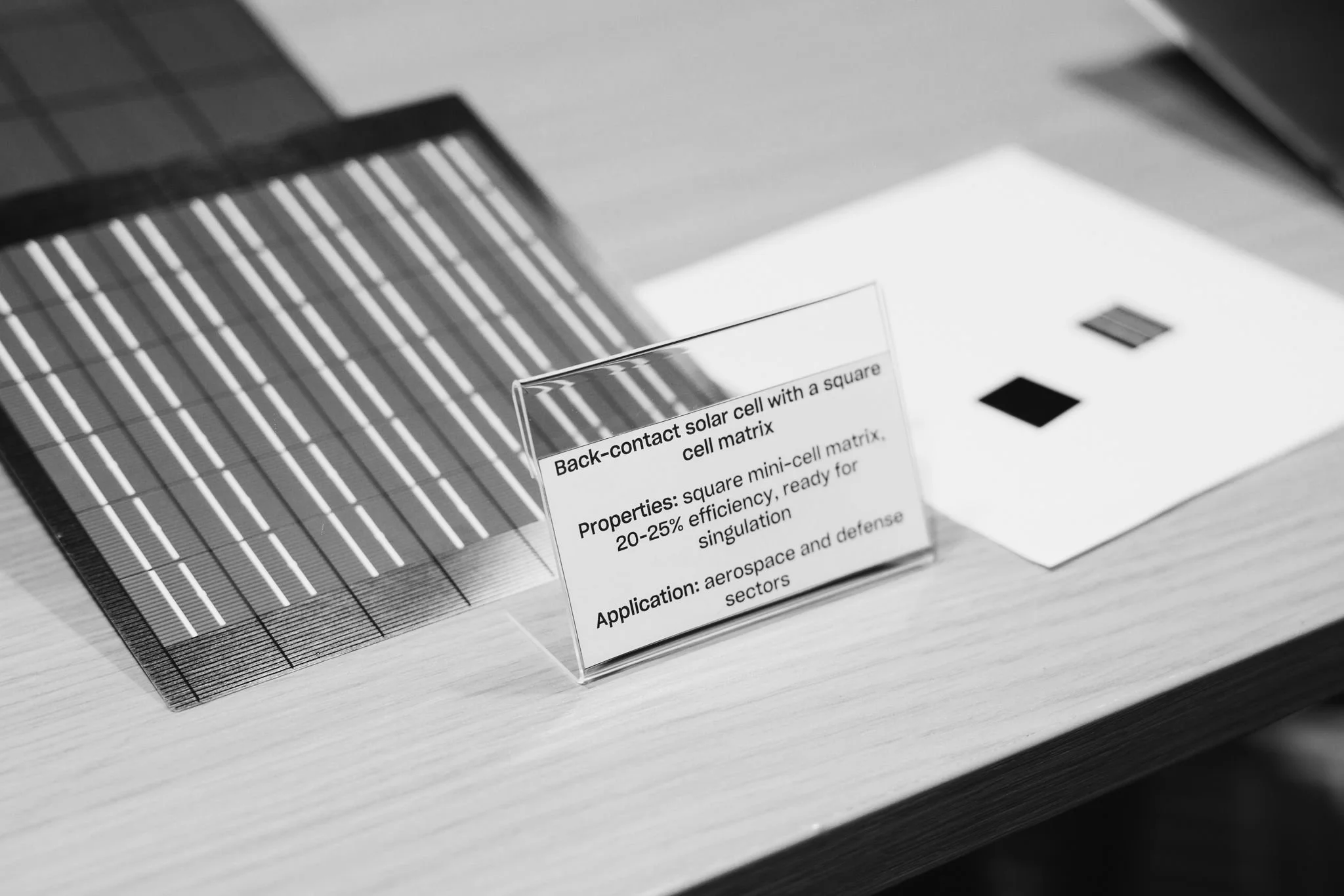 EBAN_Congress_Vilnius_2026_EvelinaSabaliauskaite-109.jpg