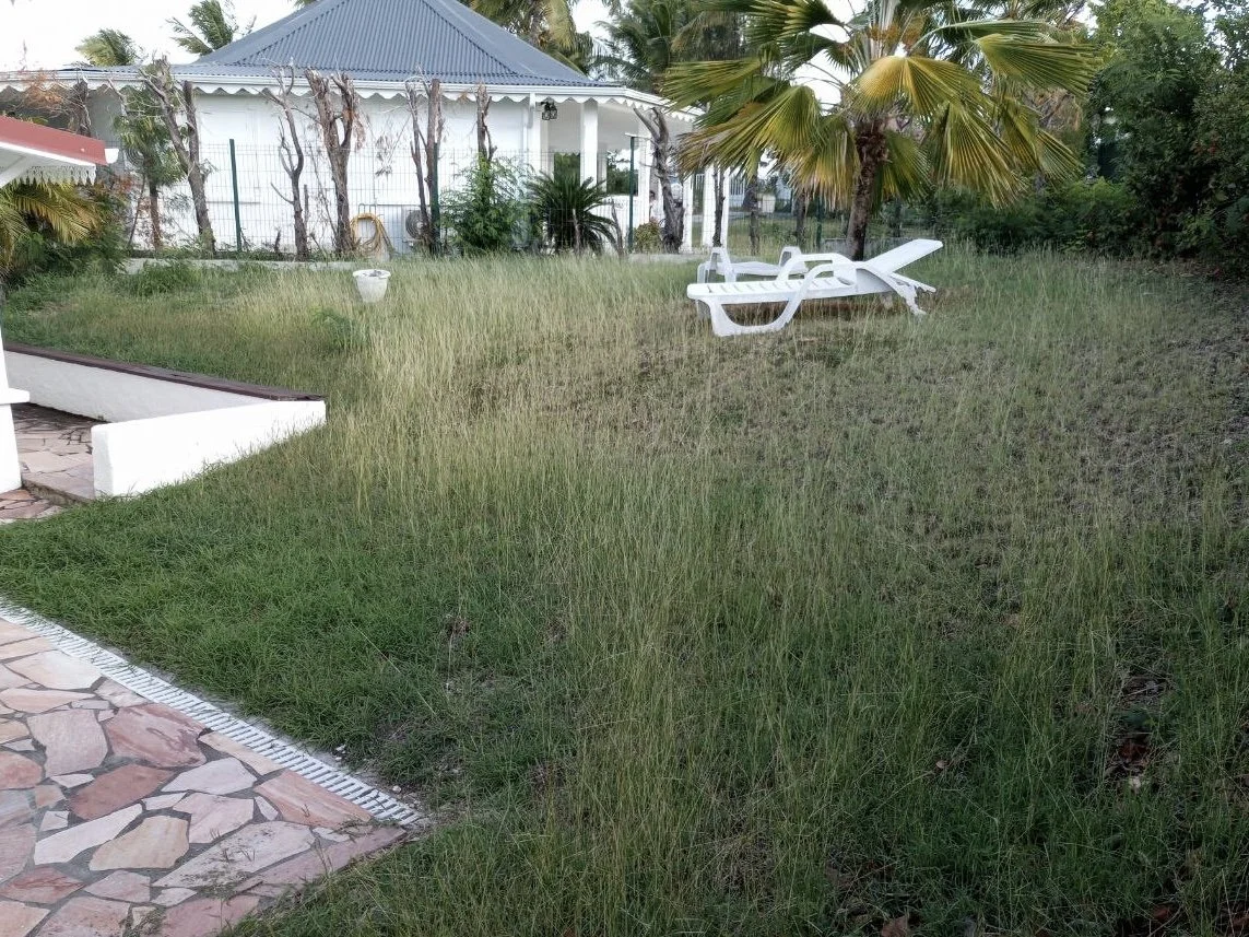 Backyard image before services