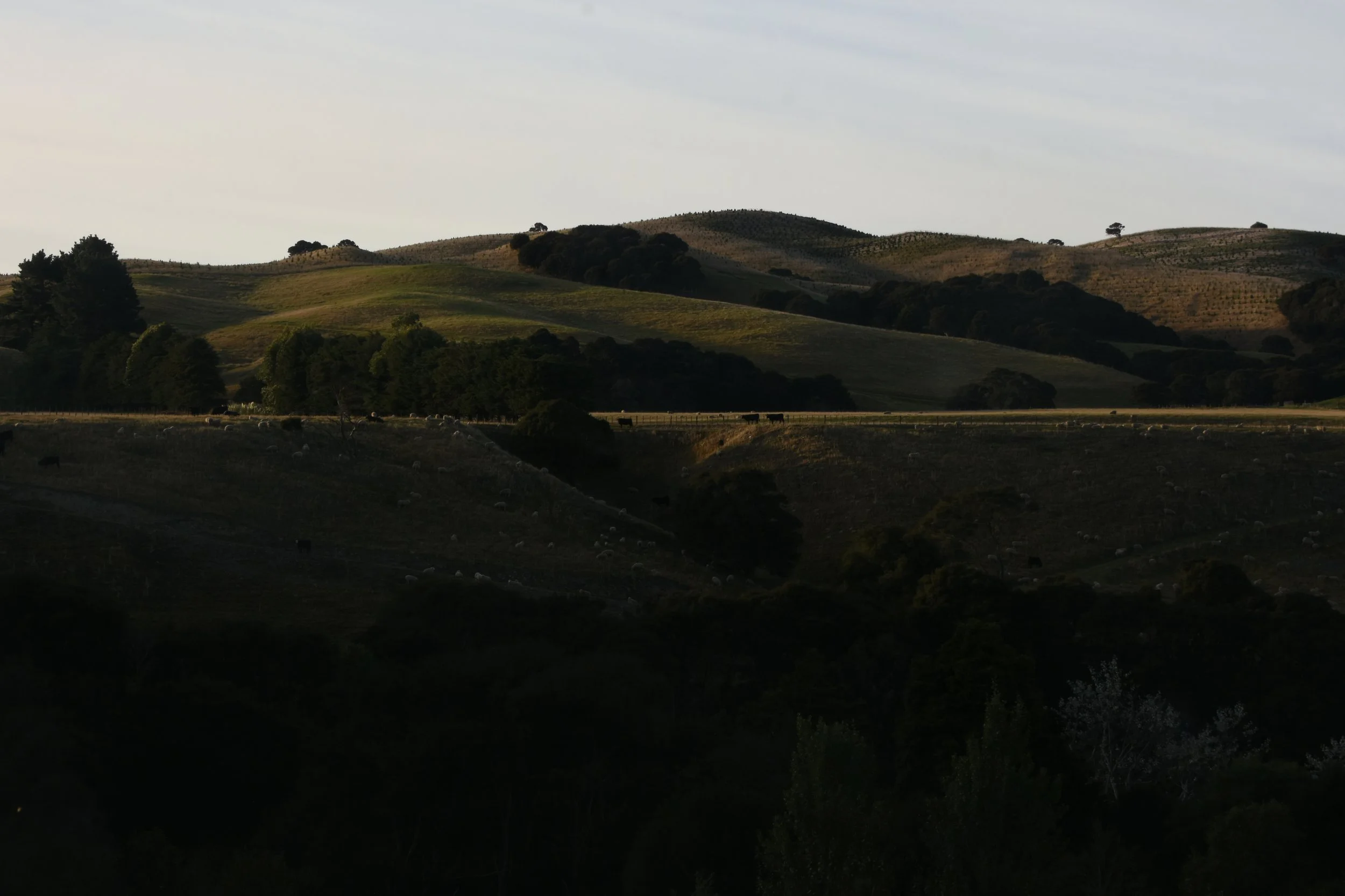 DSC_9830.JPG