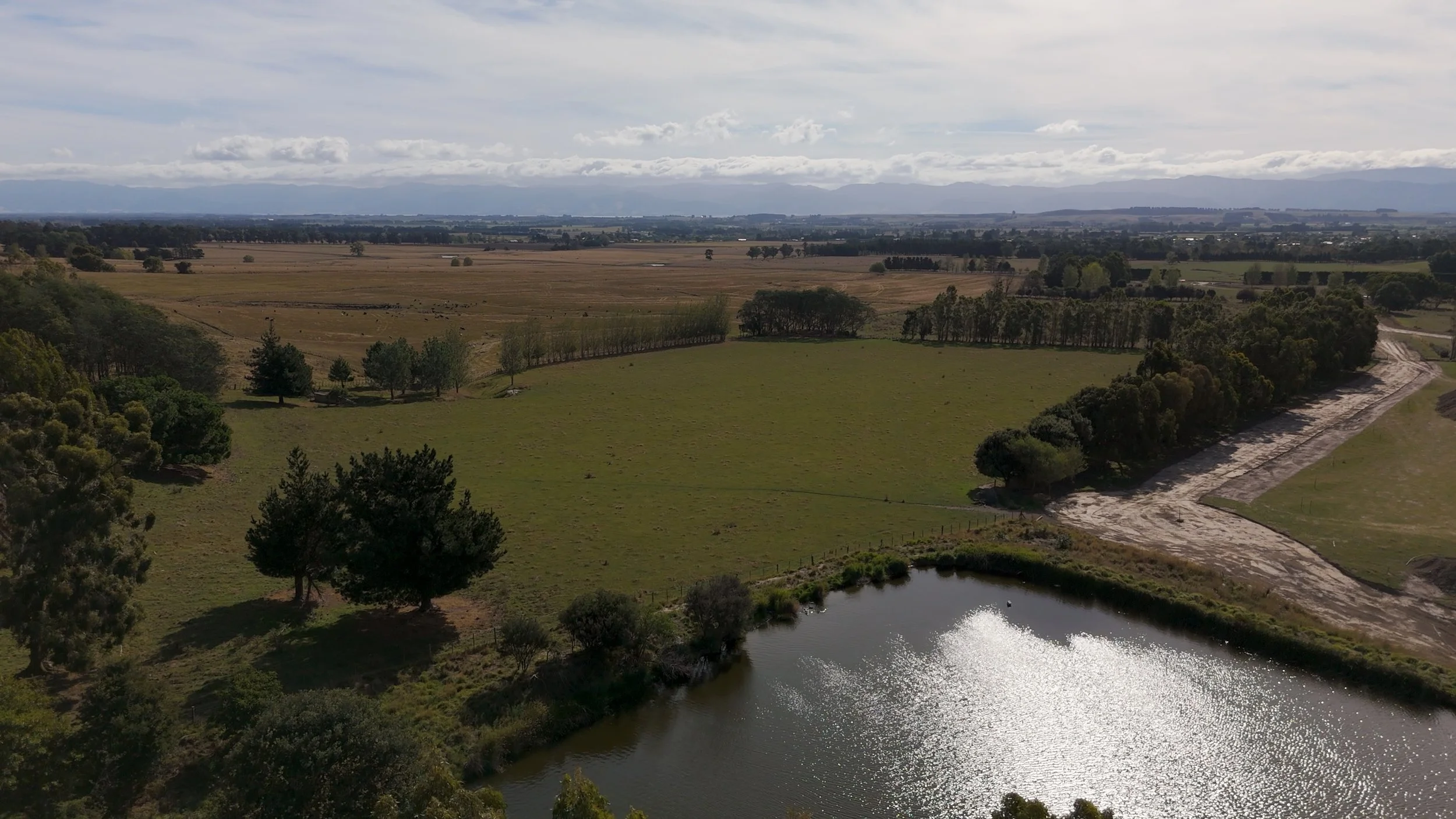DJI_20250323155510_0095_D.00_09_02_22.Still012 2.jpeg
