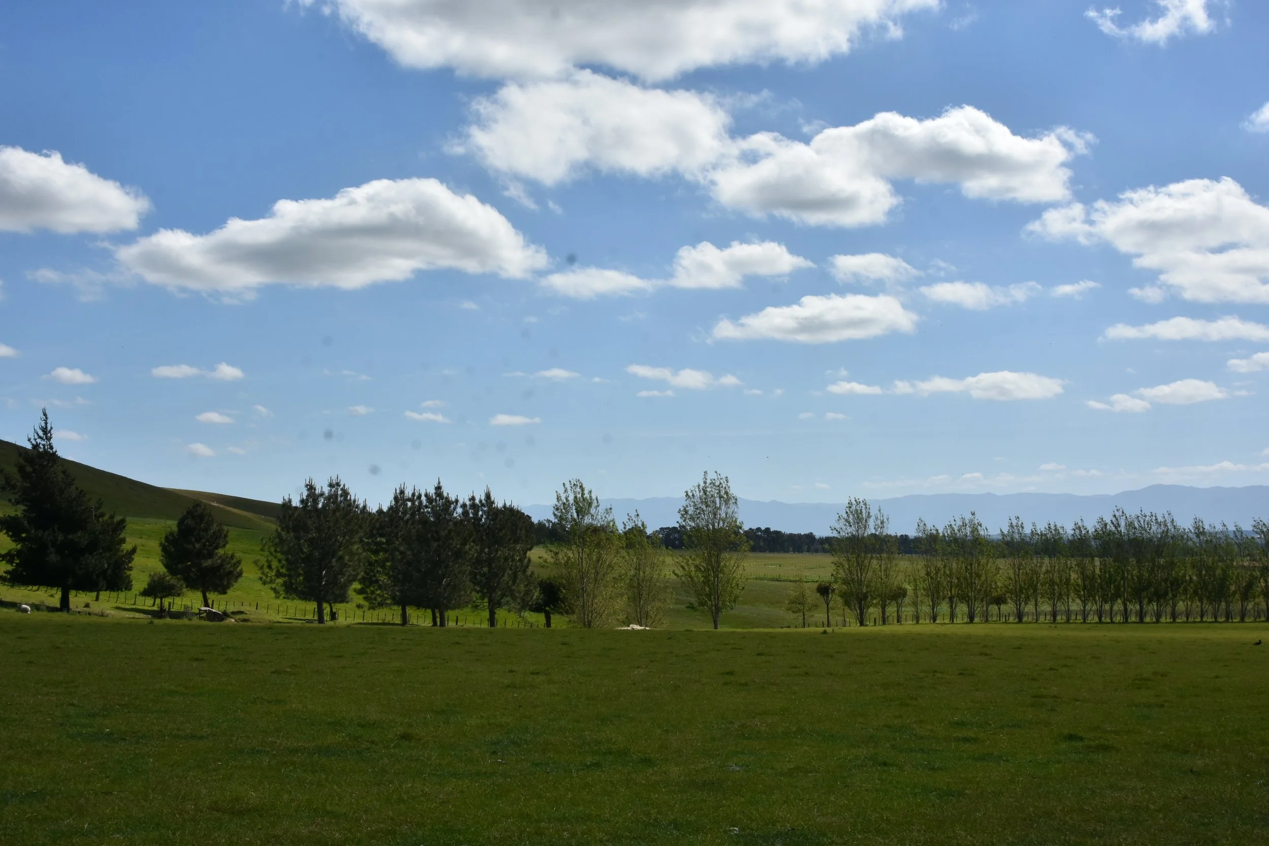 DSC_3060.JPG