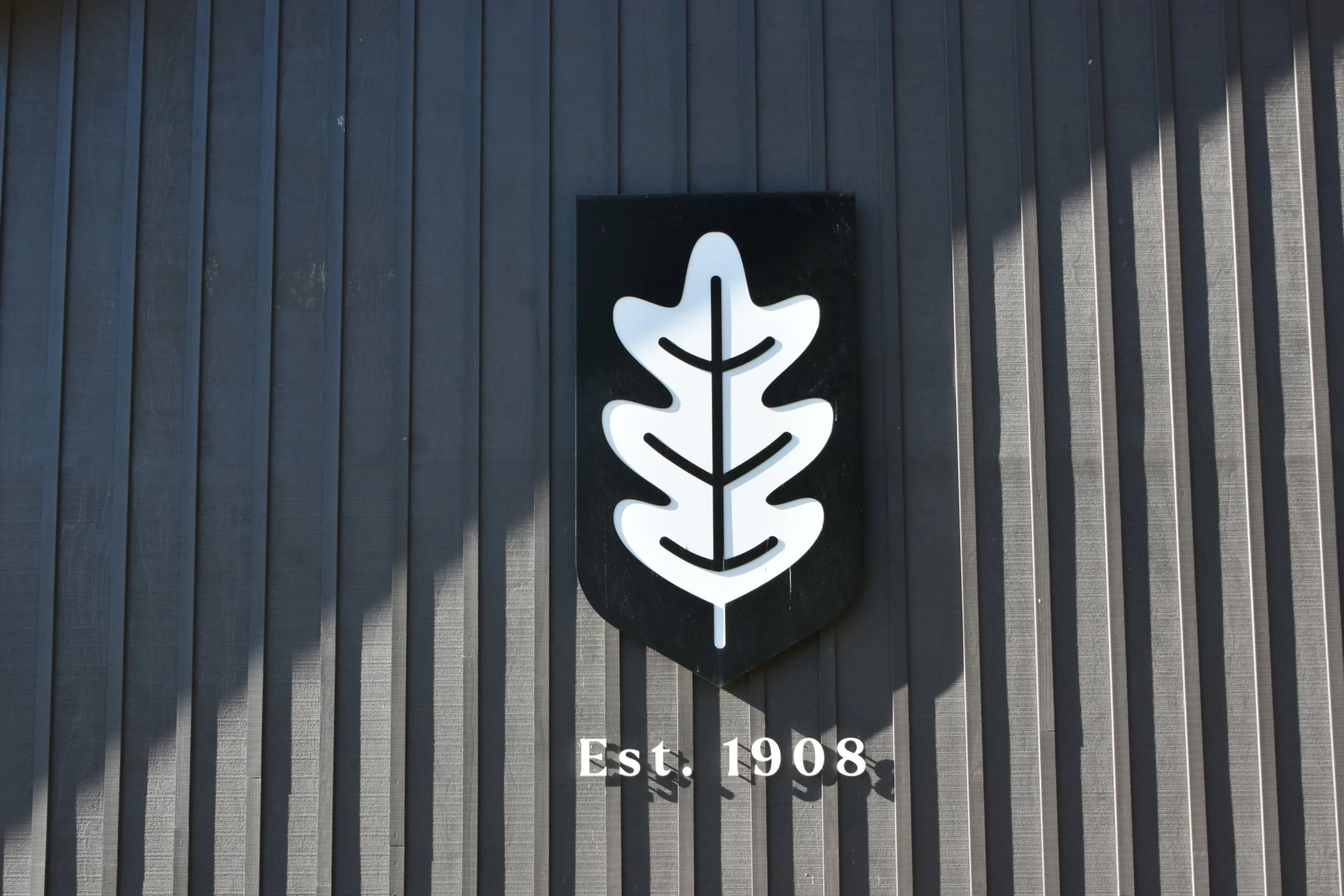 DSC_5857.png