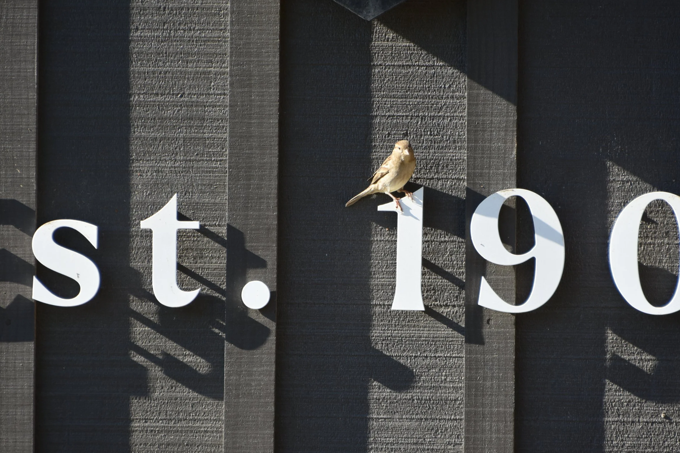 DSC_5849.png