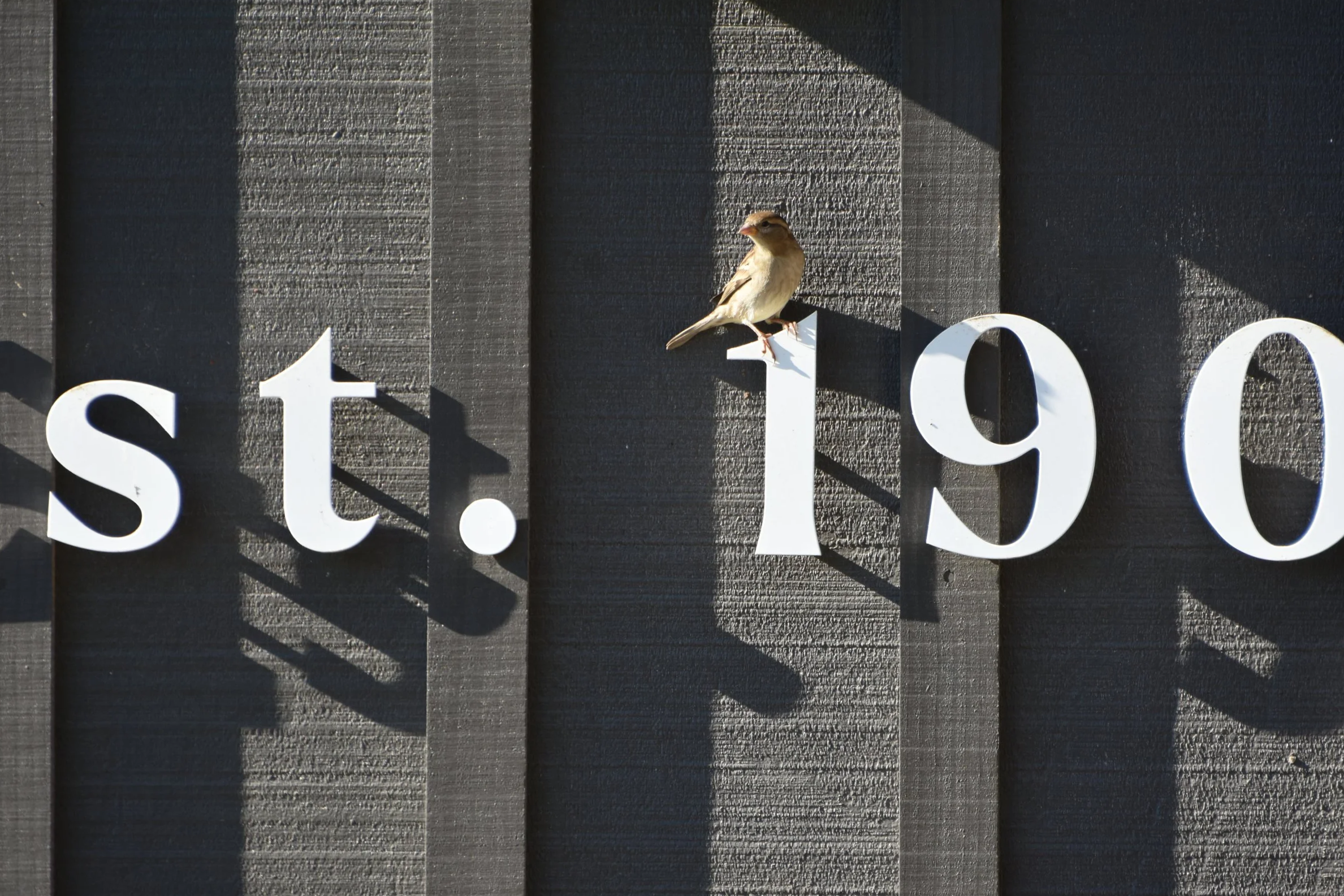 DSC_5848.png