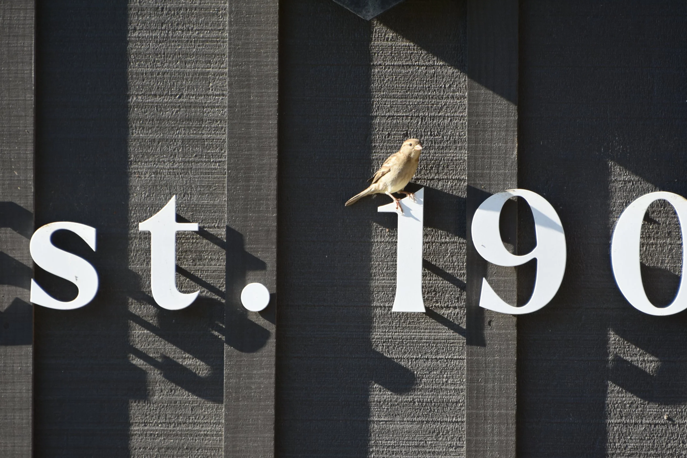 DSC_5847.png