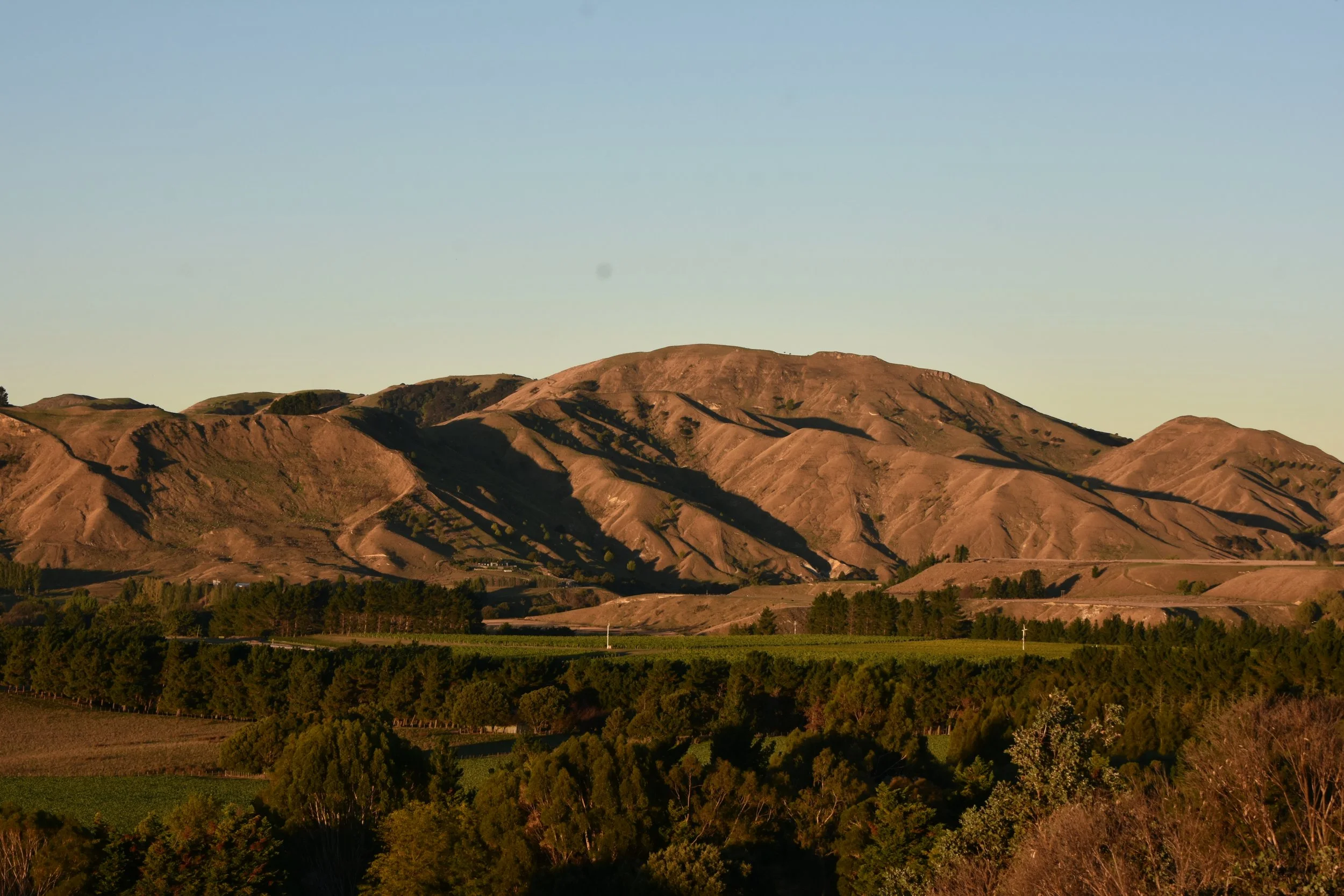 DSC_9442.JPG