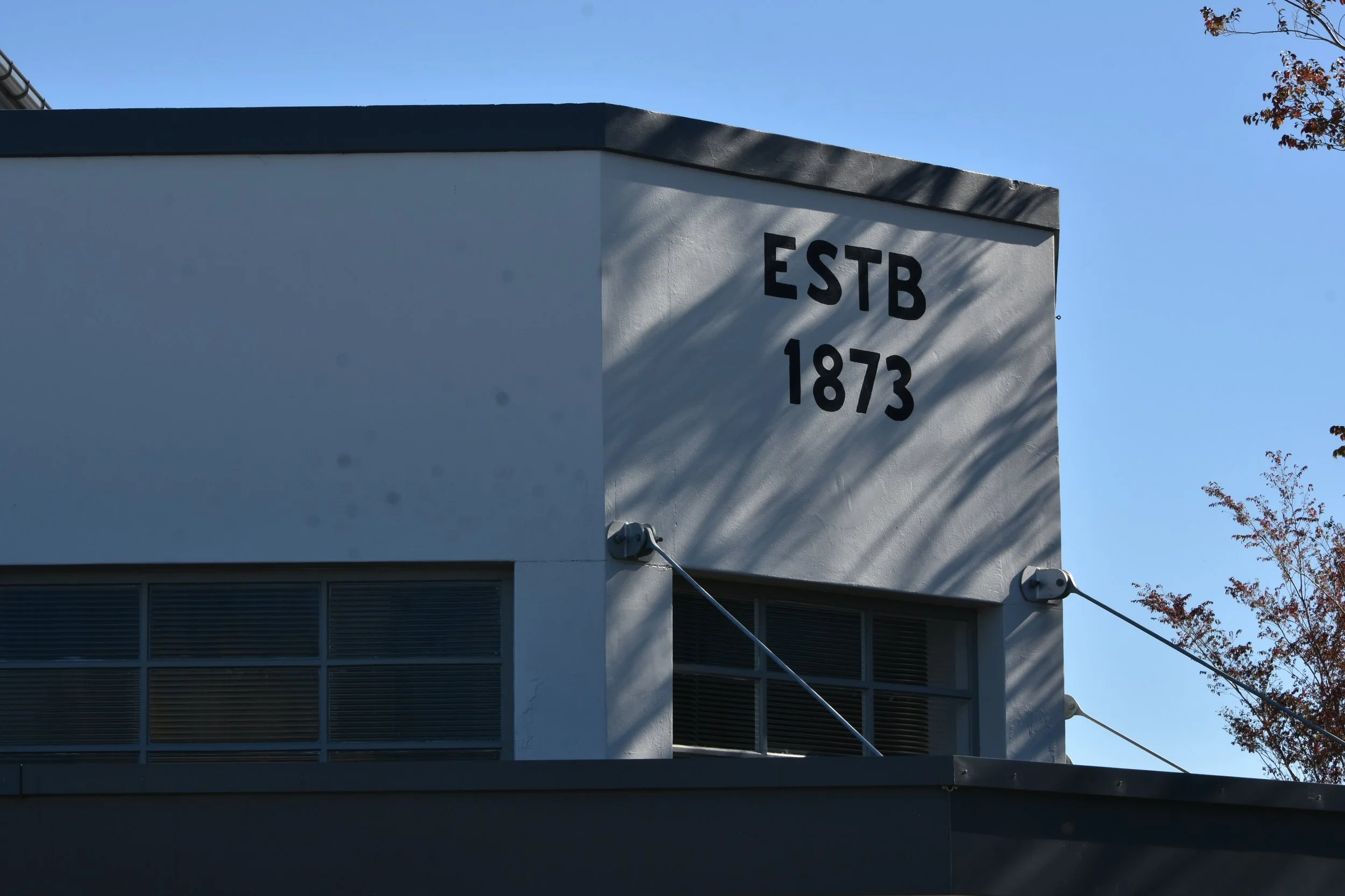DSC_6031.JPG