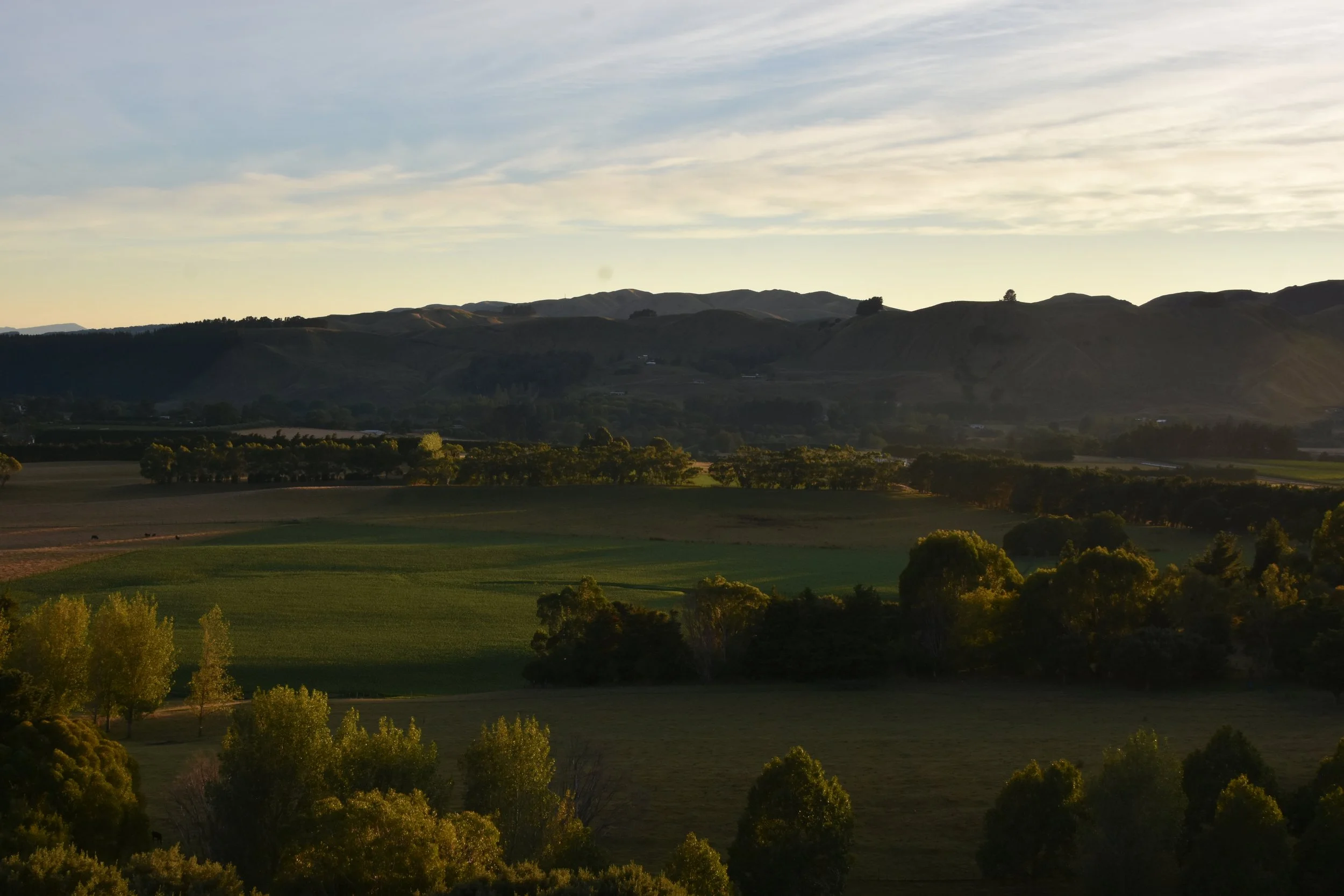 DSC_9725.JPG