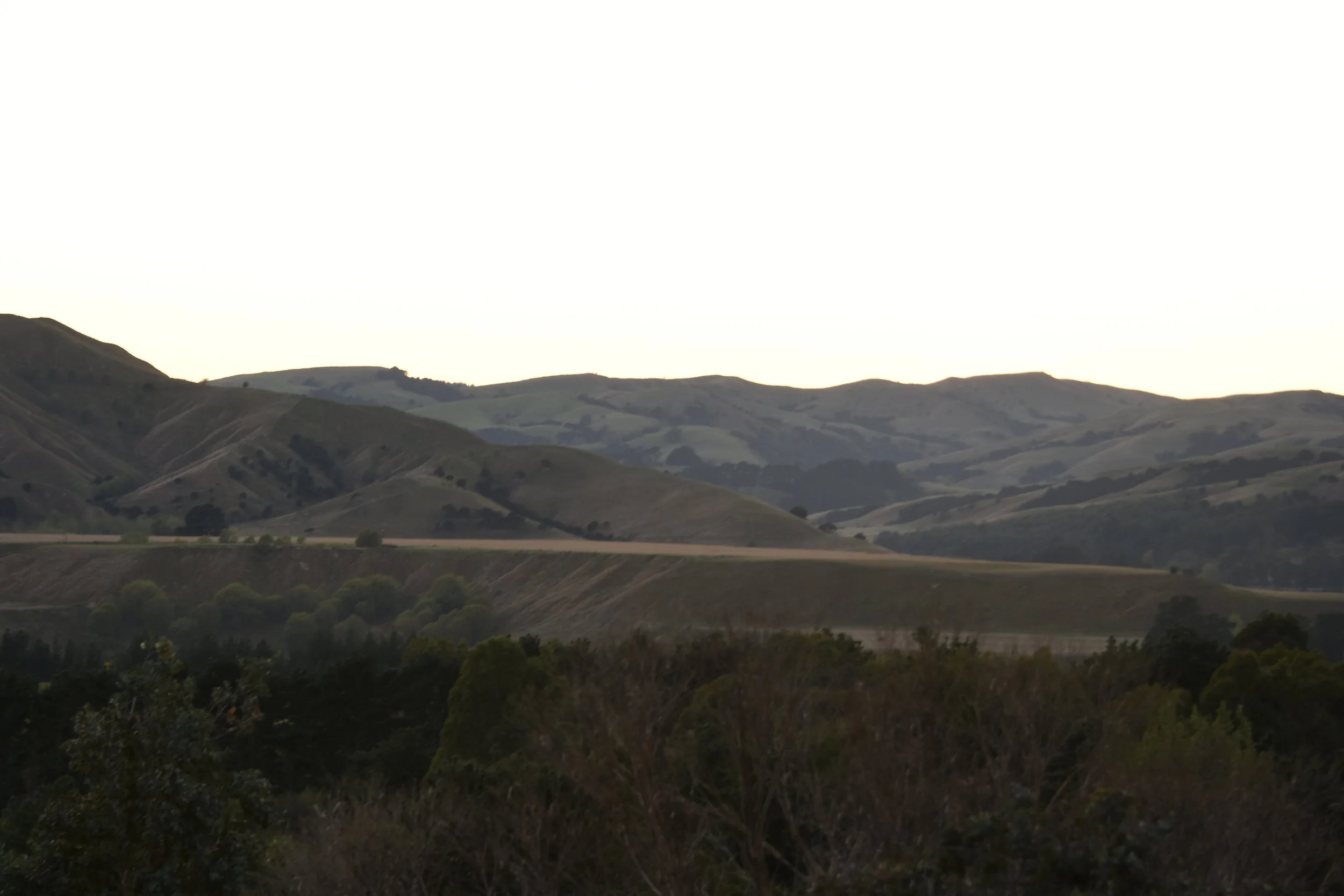 DSC_9671.JPG