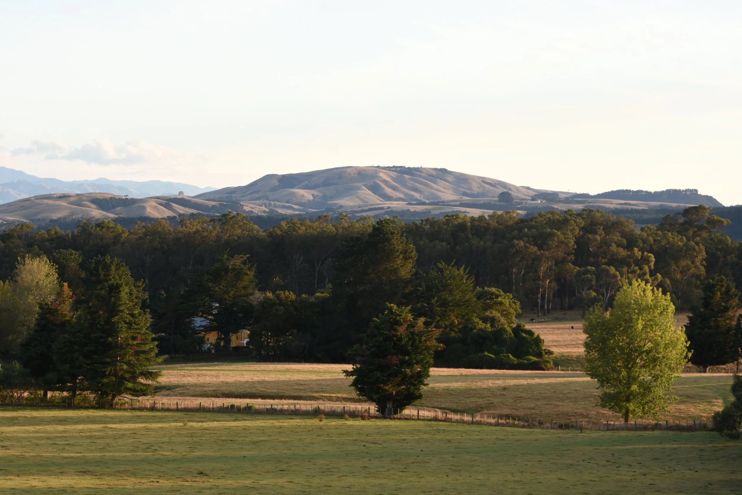 DSC_9755.JPG