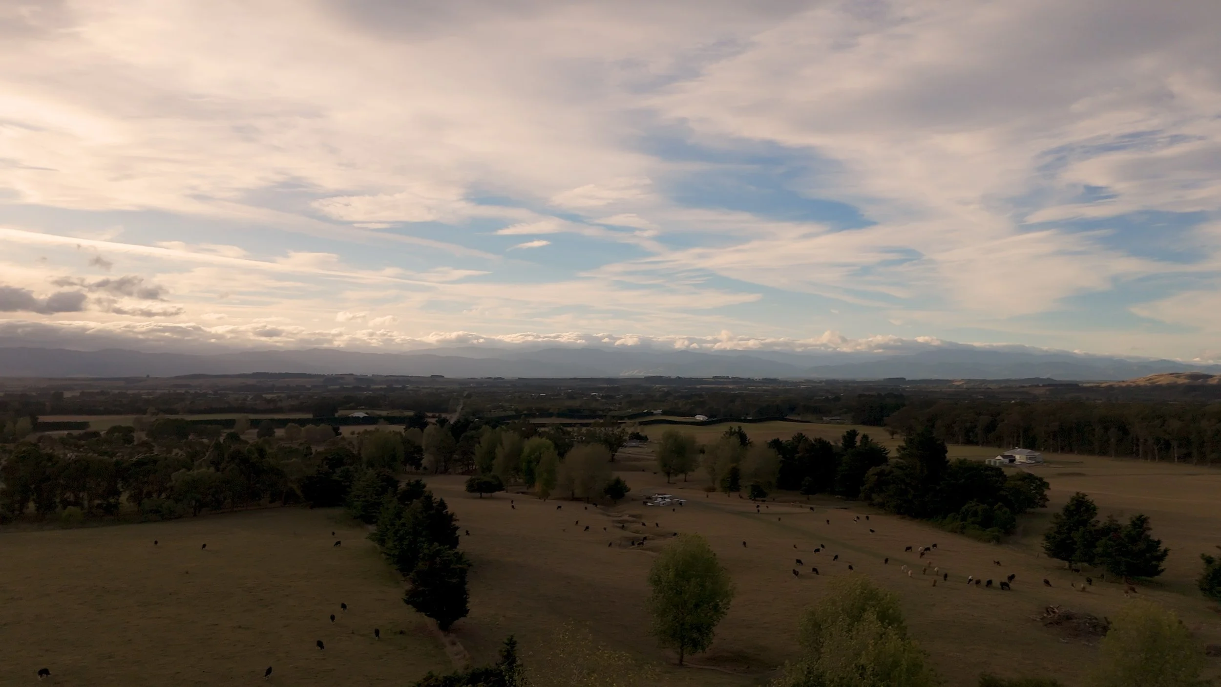 DJI_20250323155510_0095_D.00_12_08_30.Still023.jpeg