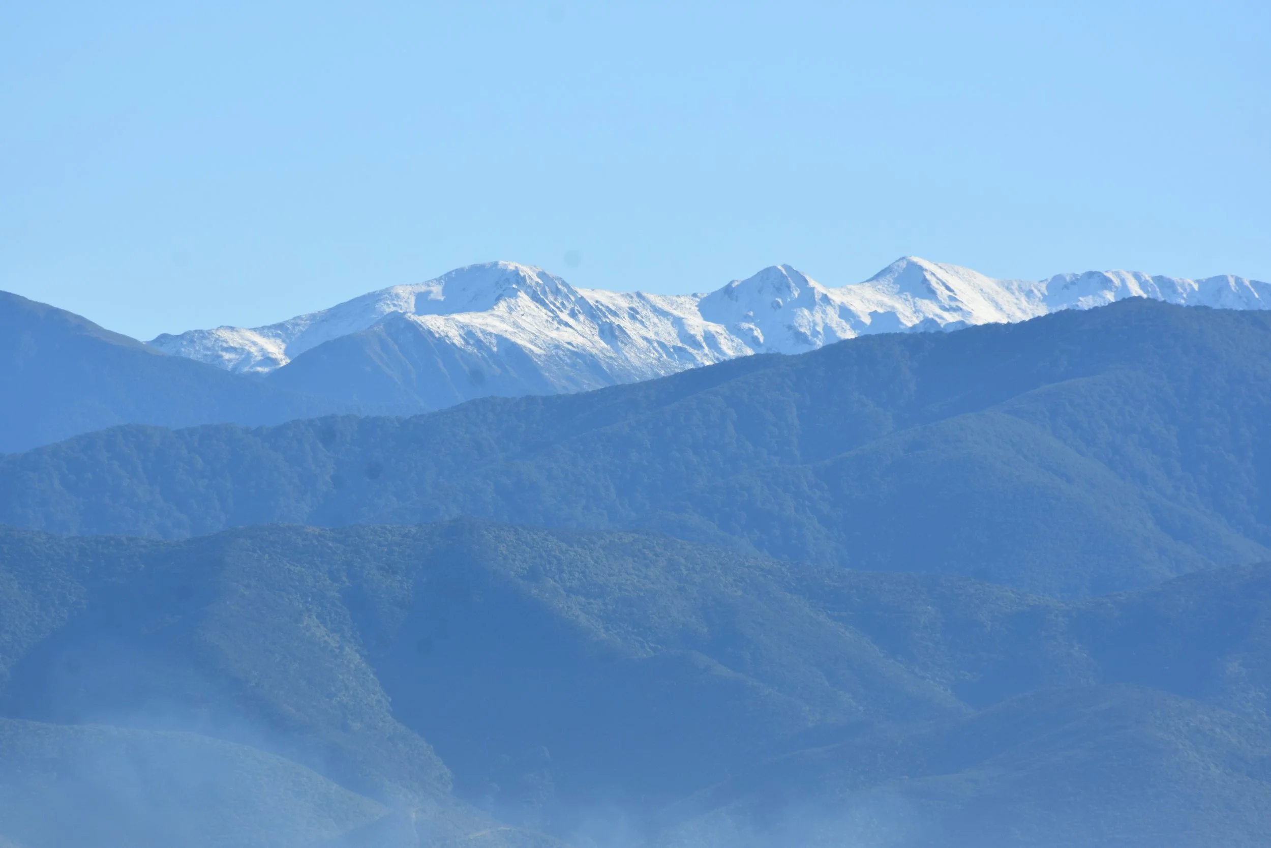 DSC_5828.JPG