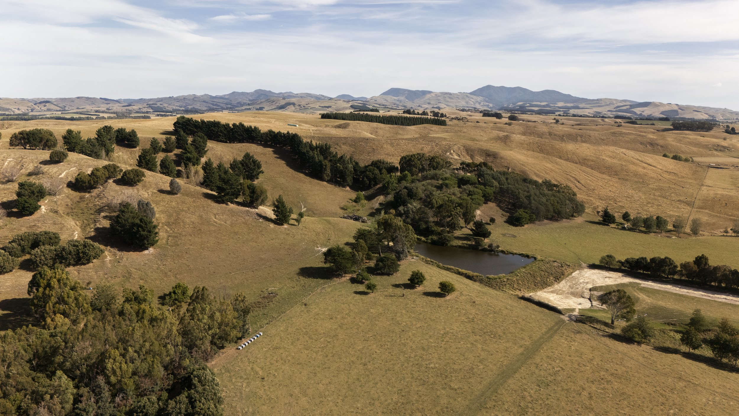 DJI_20250323155259_0087_D.jpeg