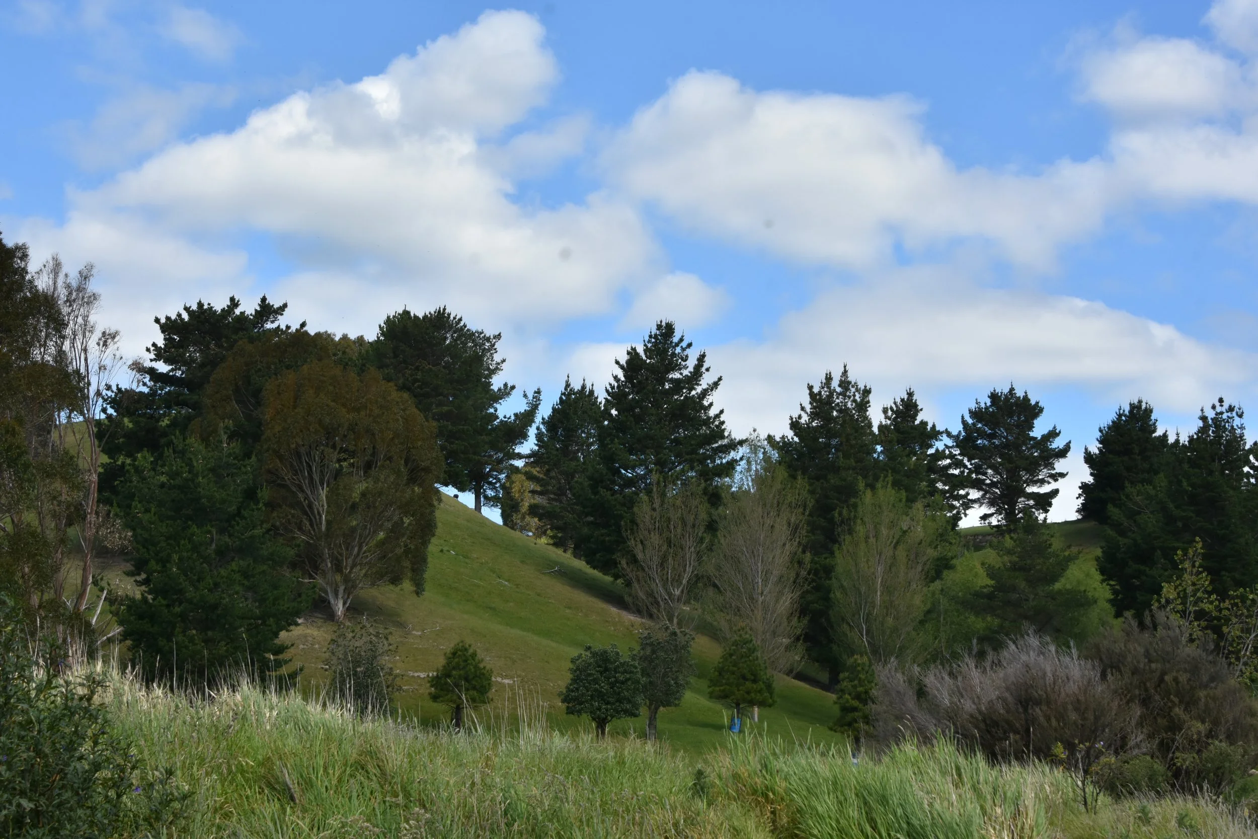 DSC_3059.JPG
