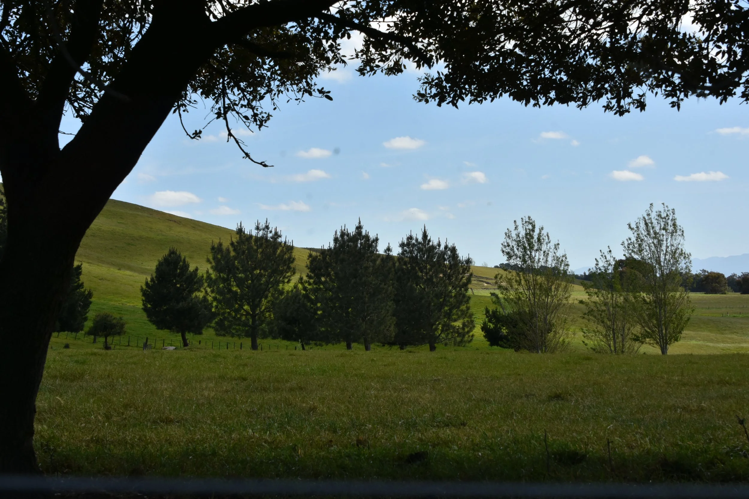 DSC_3056.JPG