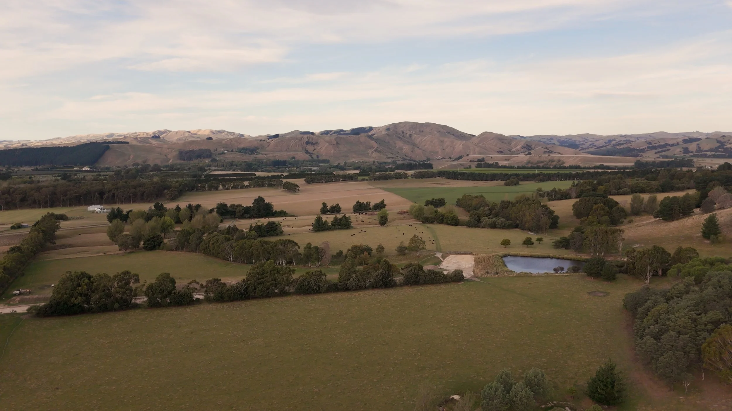 DJI_20250323155510_0095_D.00_13_58_33.Still025.jpeg