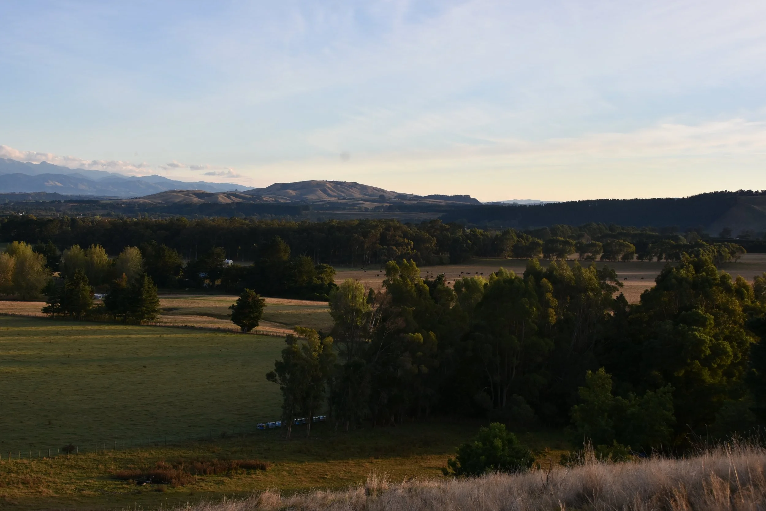 DSC_9735.JPG
