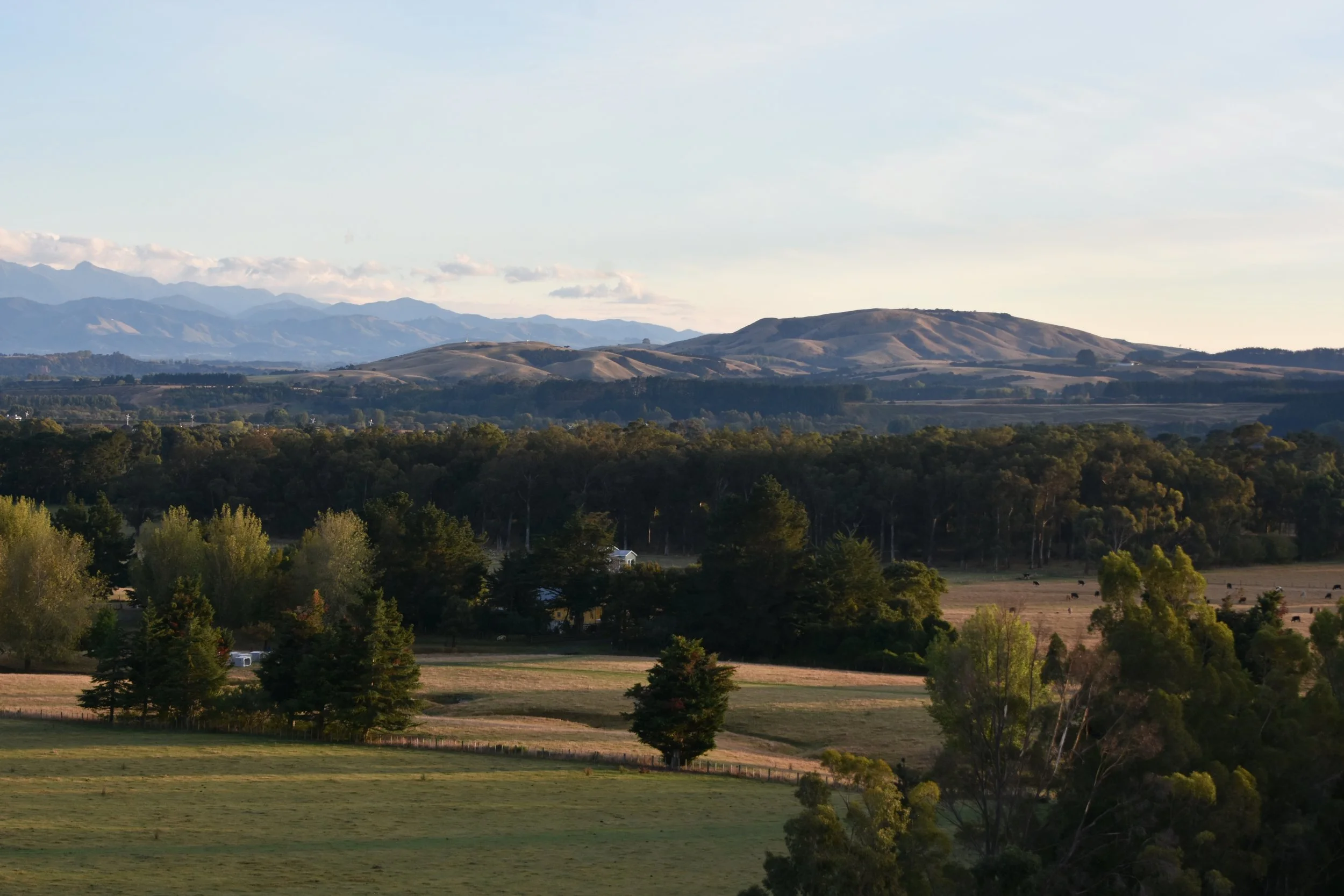 DSC_9734.JPG