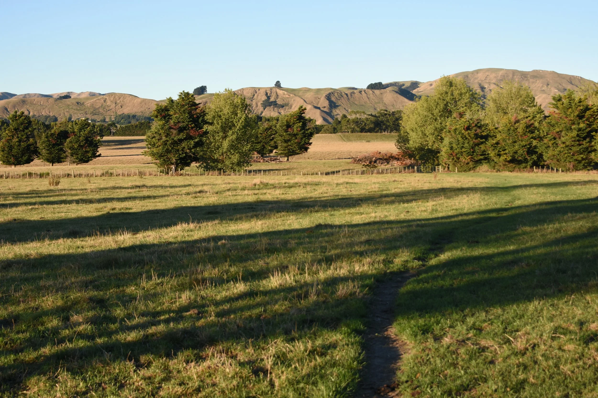 DSC_9231.JPG