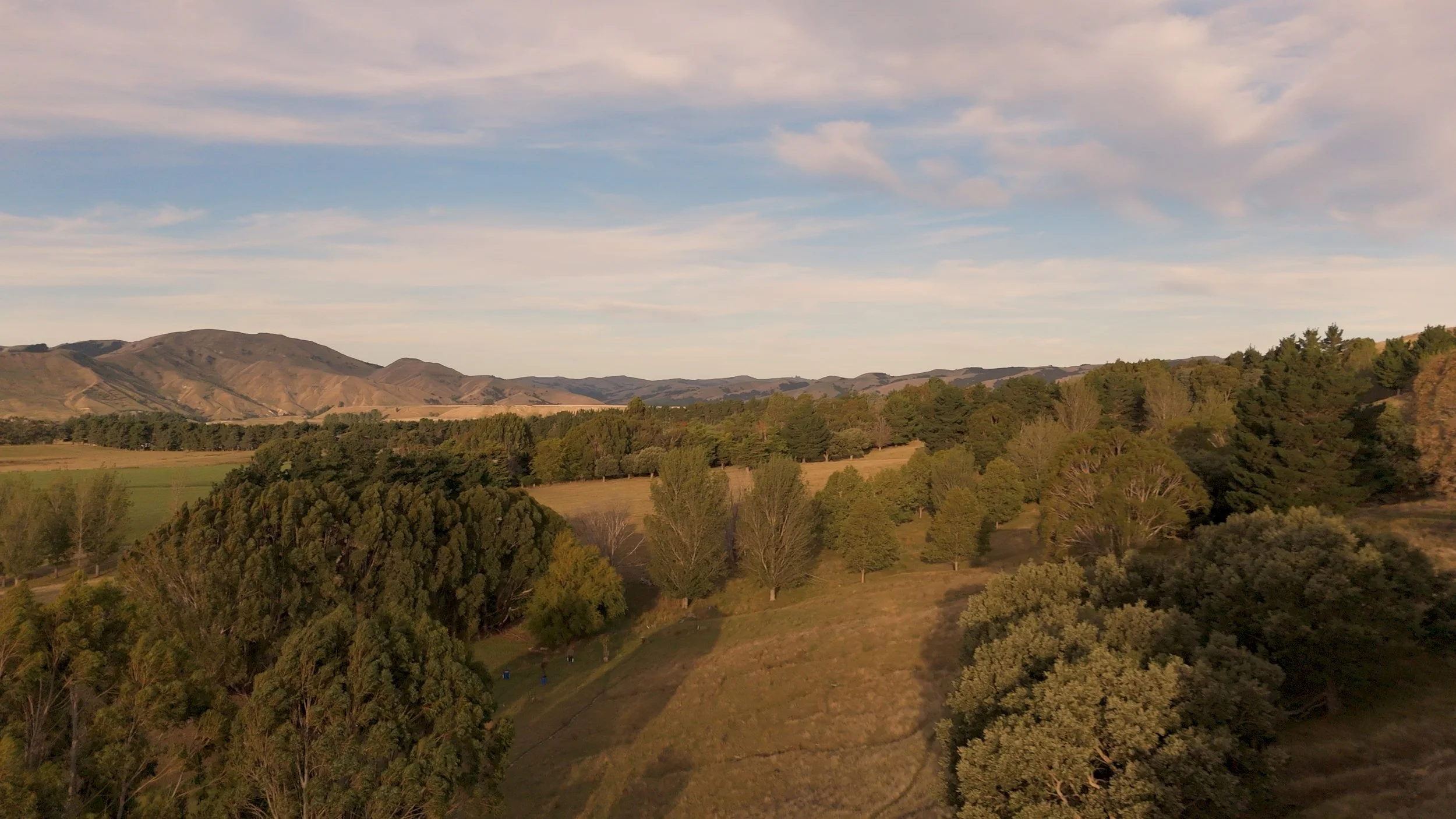 DJI_20250323155510_0095_D.00_11_46_39.Still021.jpeg