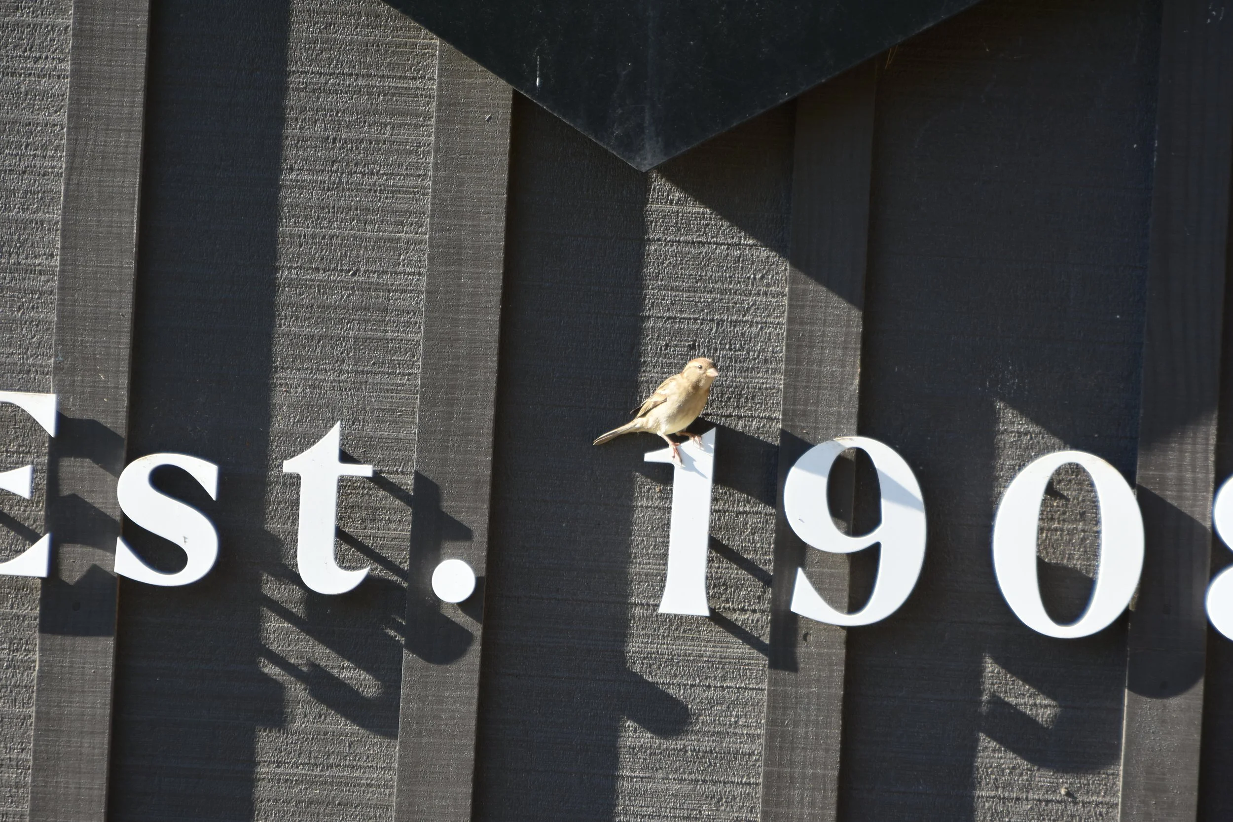 DSC_5846.JPG