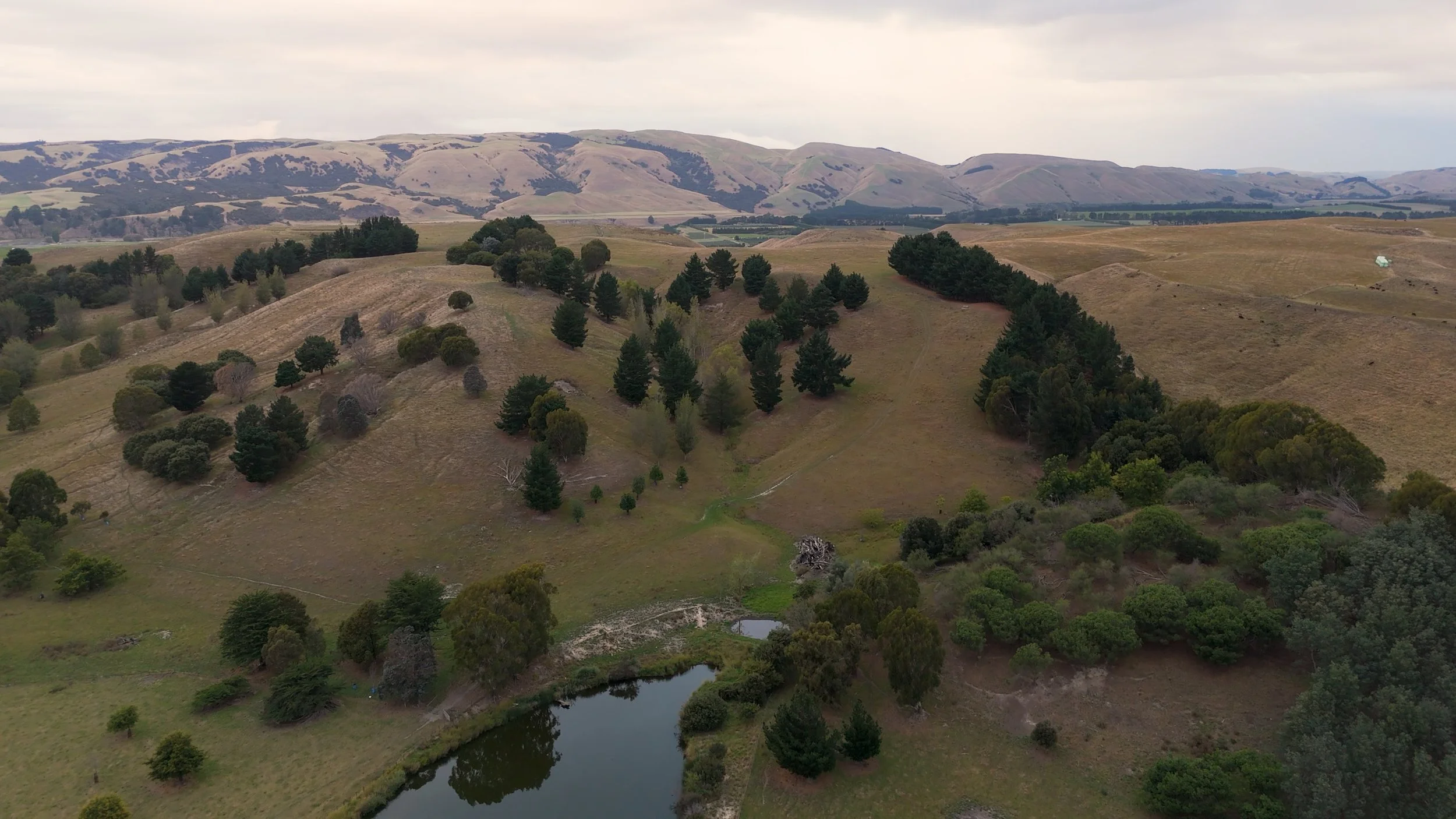 DJI_20250323155510_0095_D.00_20_30_02.Still031.jpeg